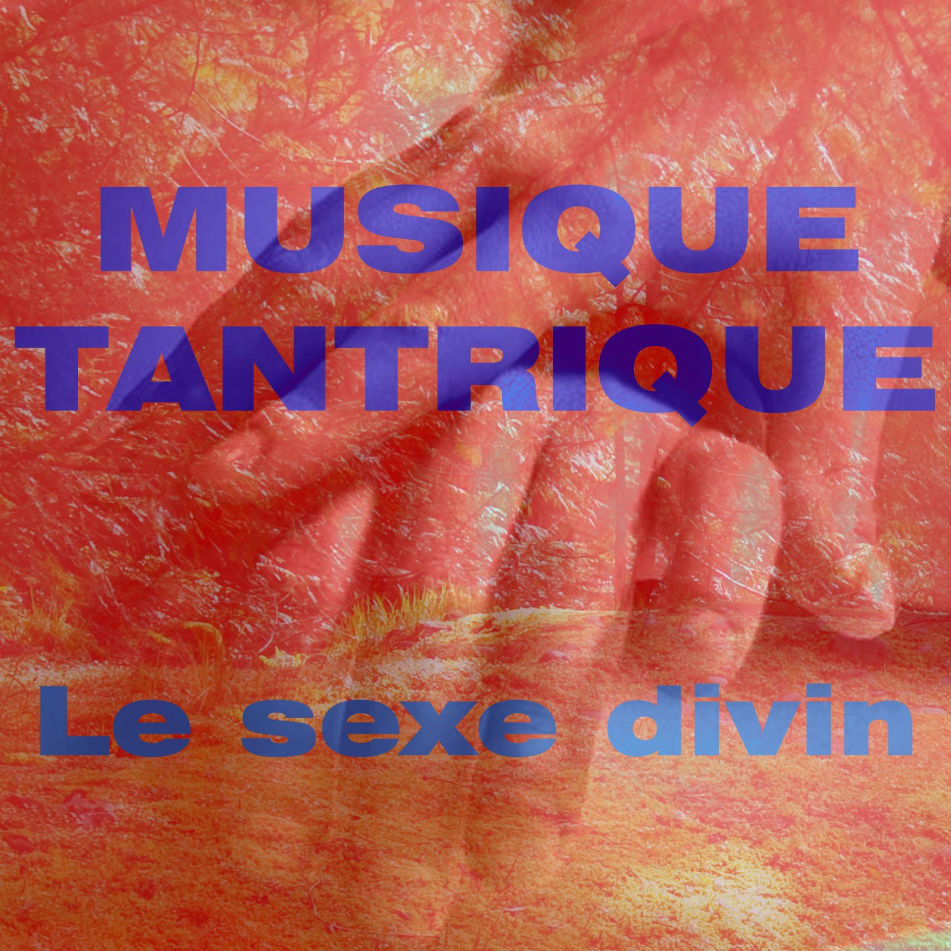 Постер альбома Musique Tantrique