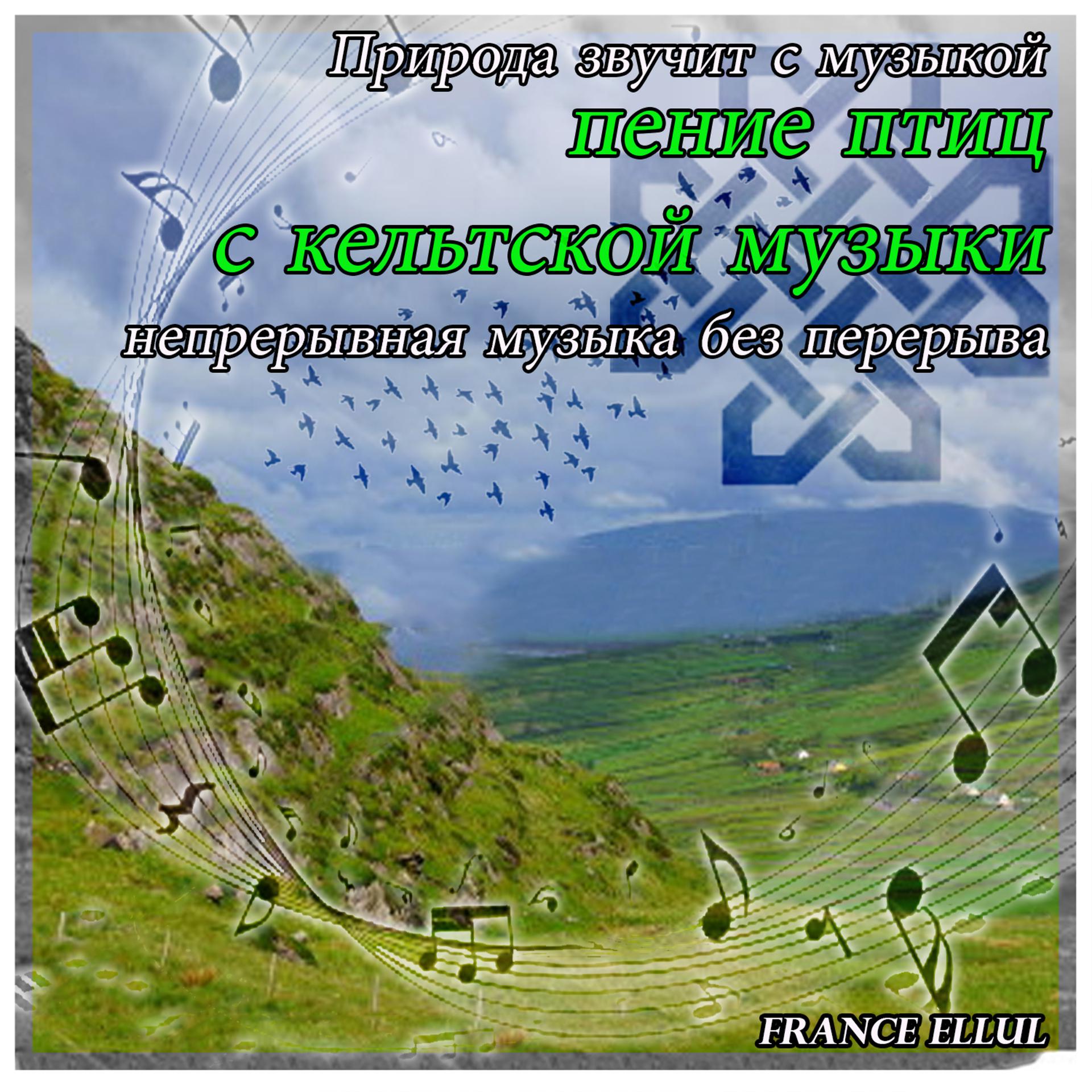 Постер альбома Природа звучит с музыкой: пение птиц с кельтской музыки