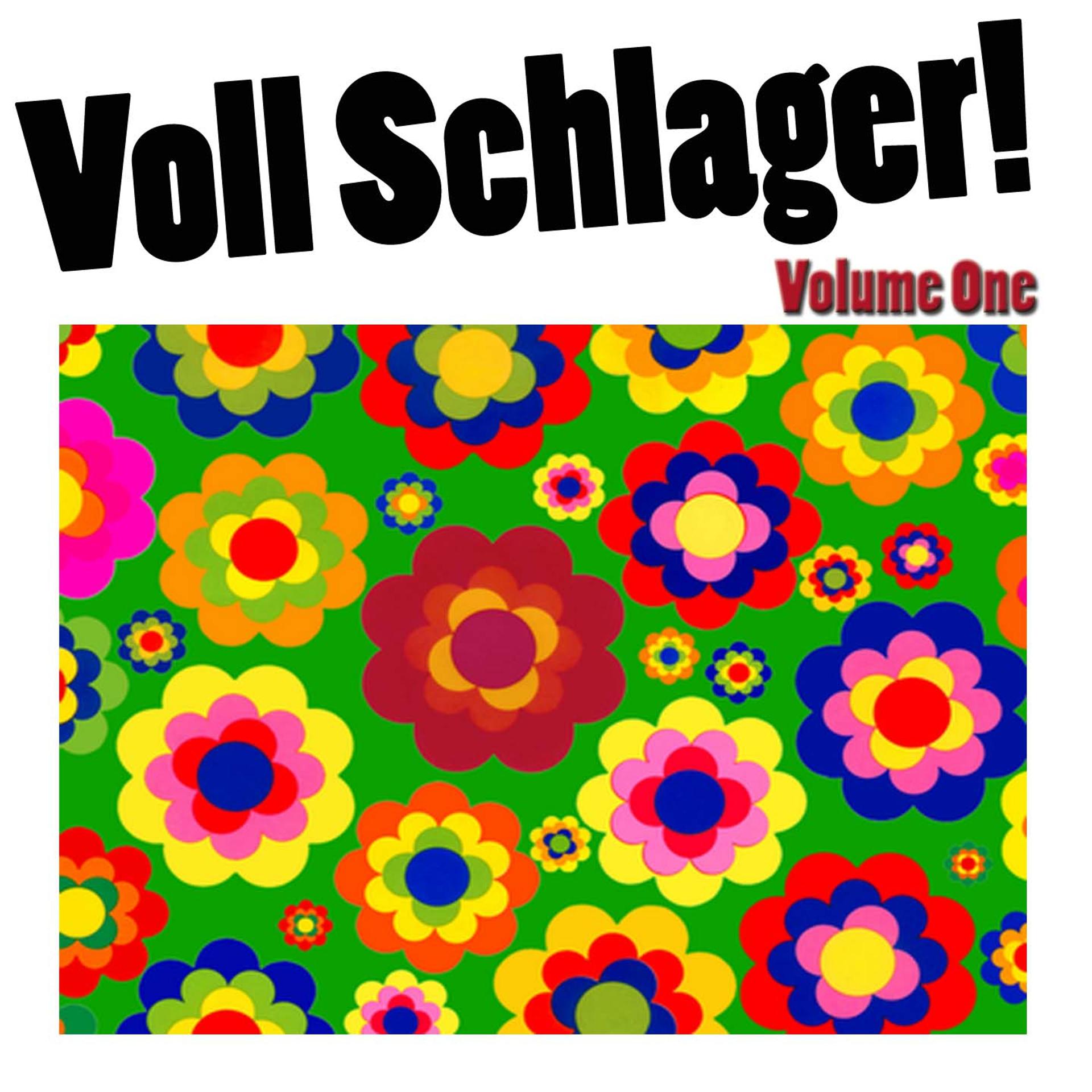 Постер альбома Voll Schlager, Vol. 1