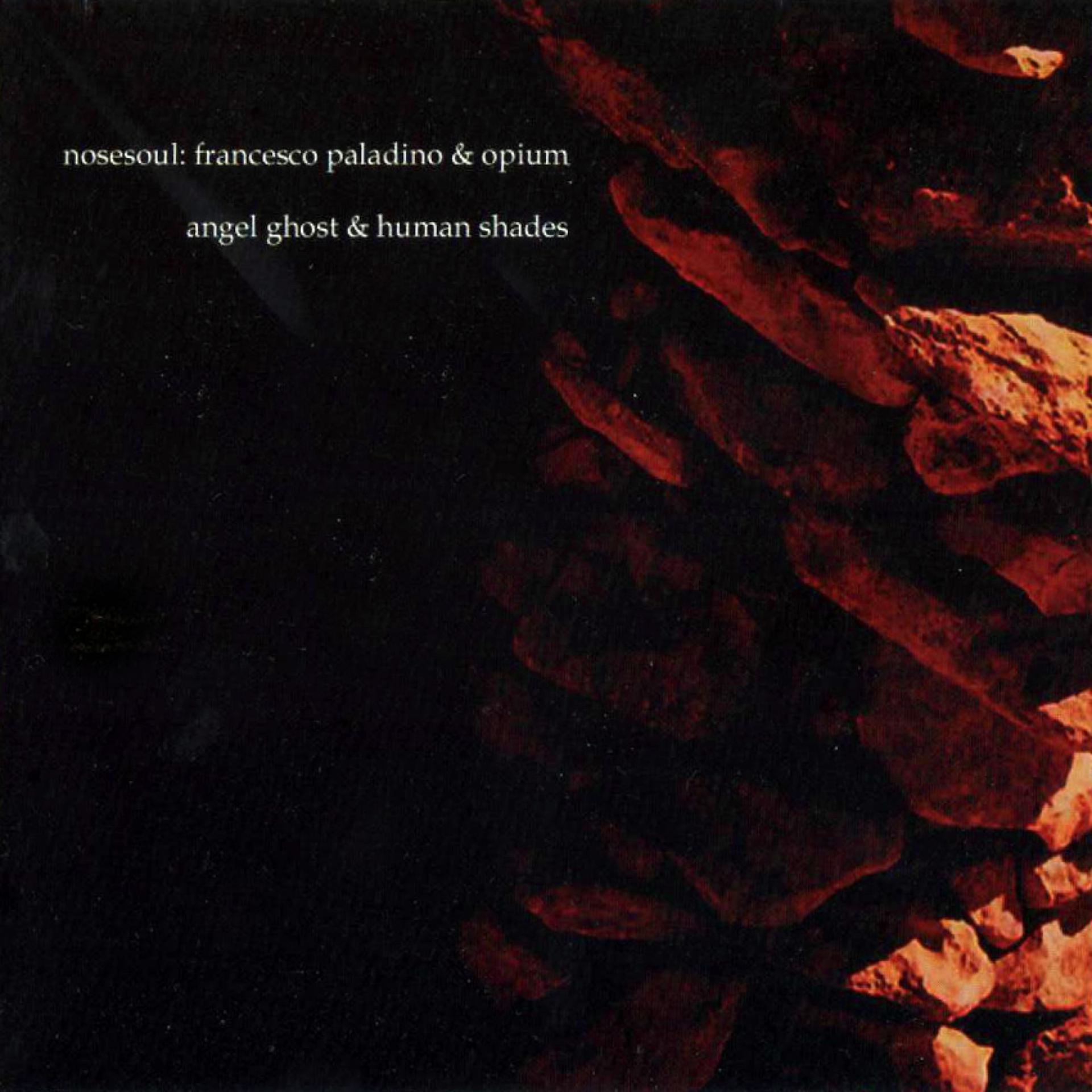 Постер альбома Angel Ghost & Human Shades