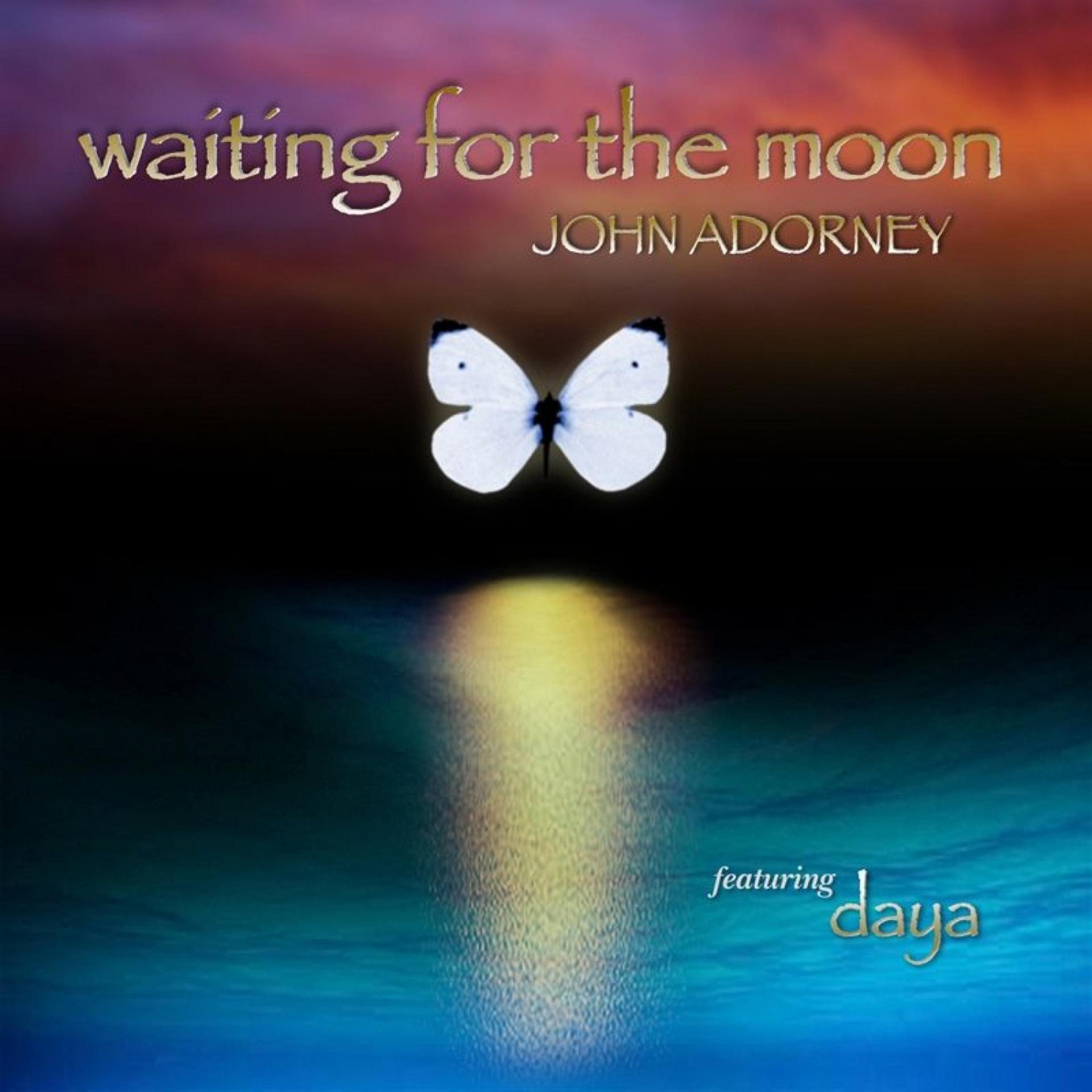Постер альбома Waiting for the Moon