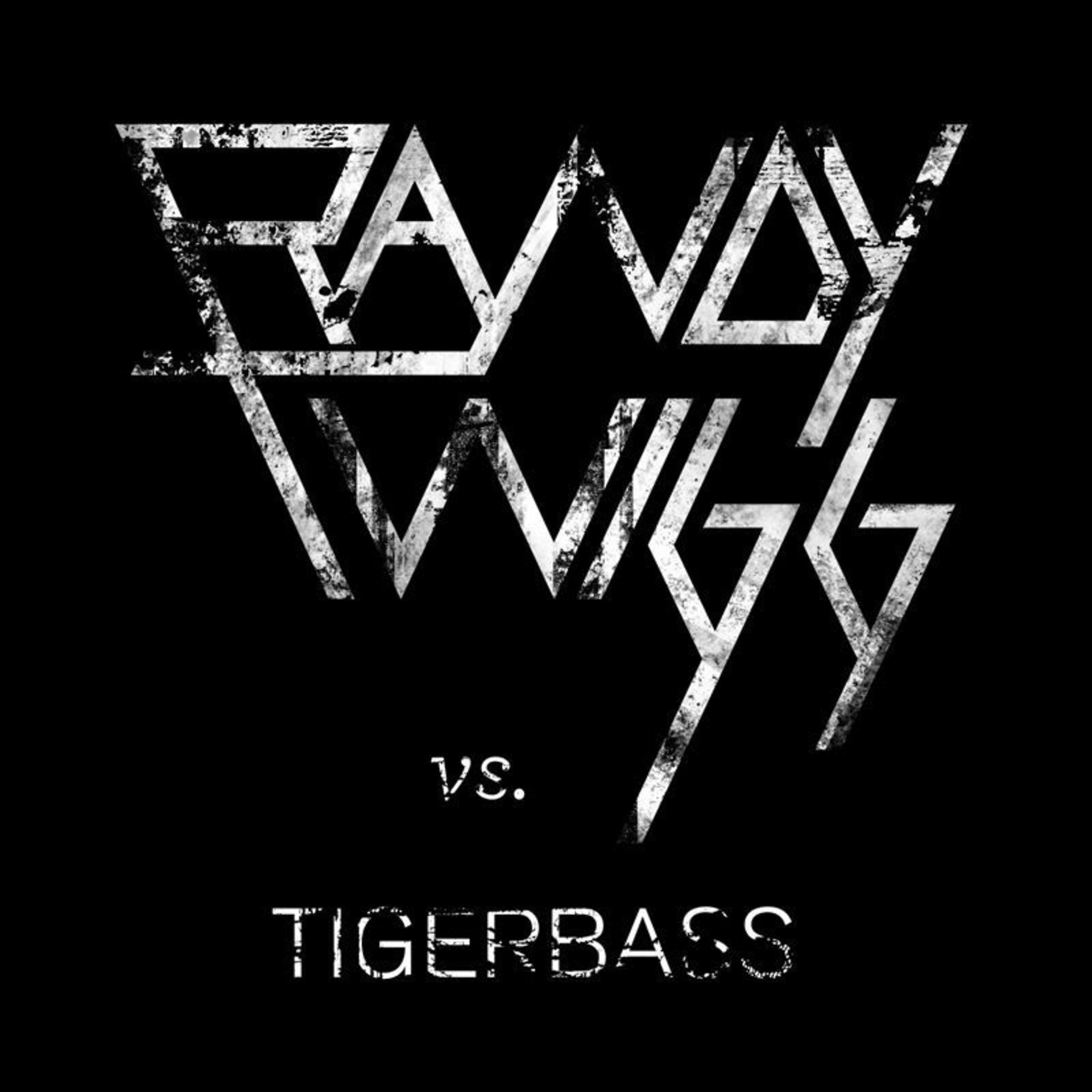 Постер альбома Randy Twigg vs Tigerbass EP