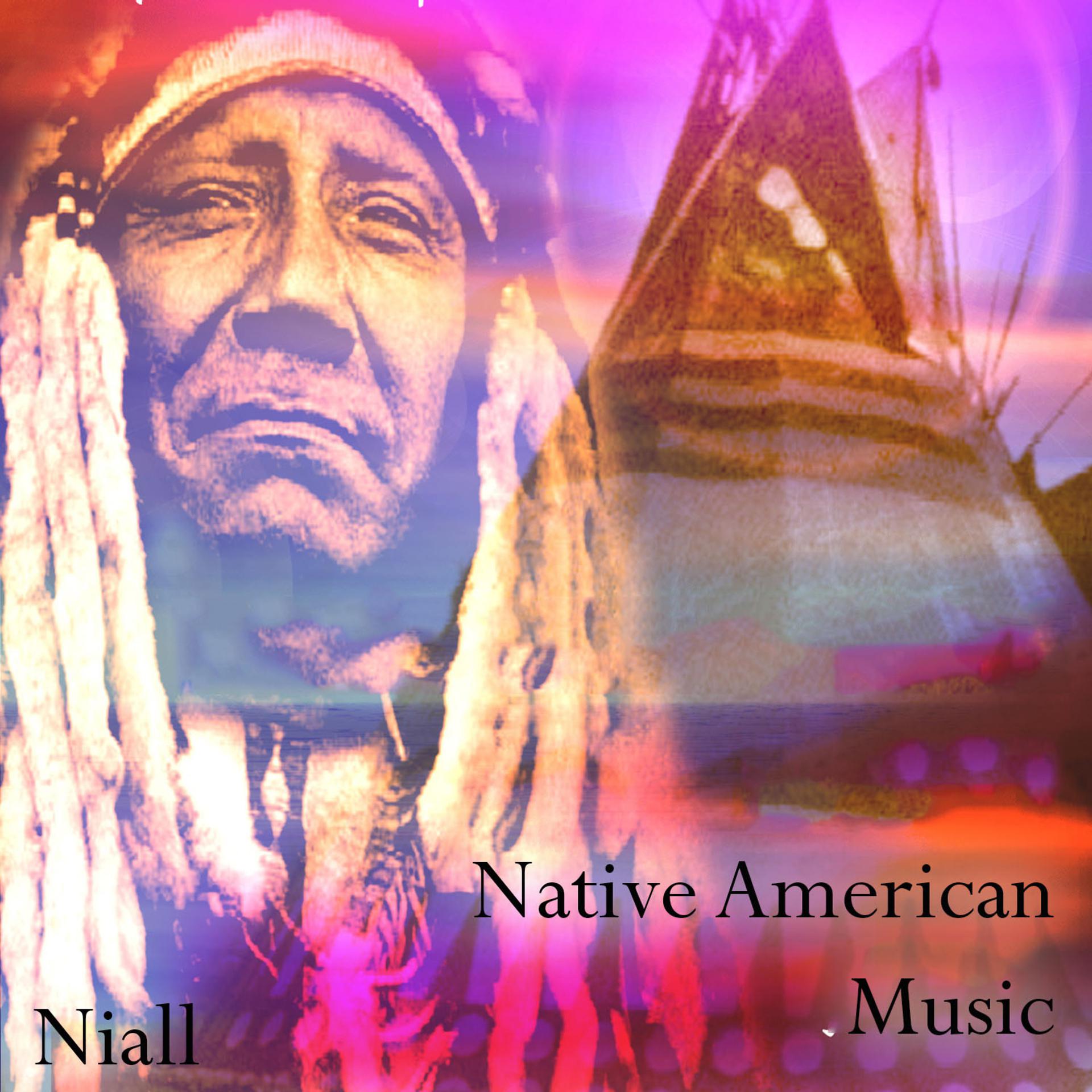 Постер альбома Native American Music