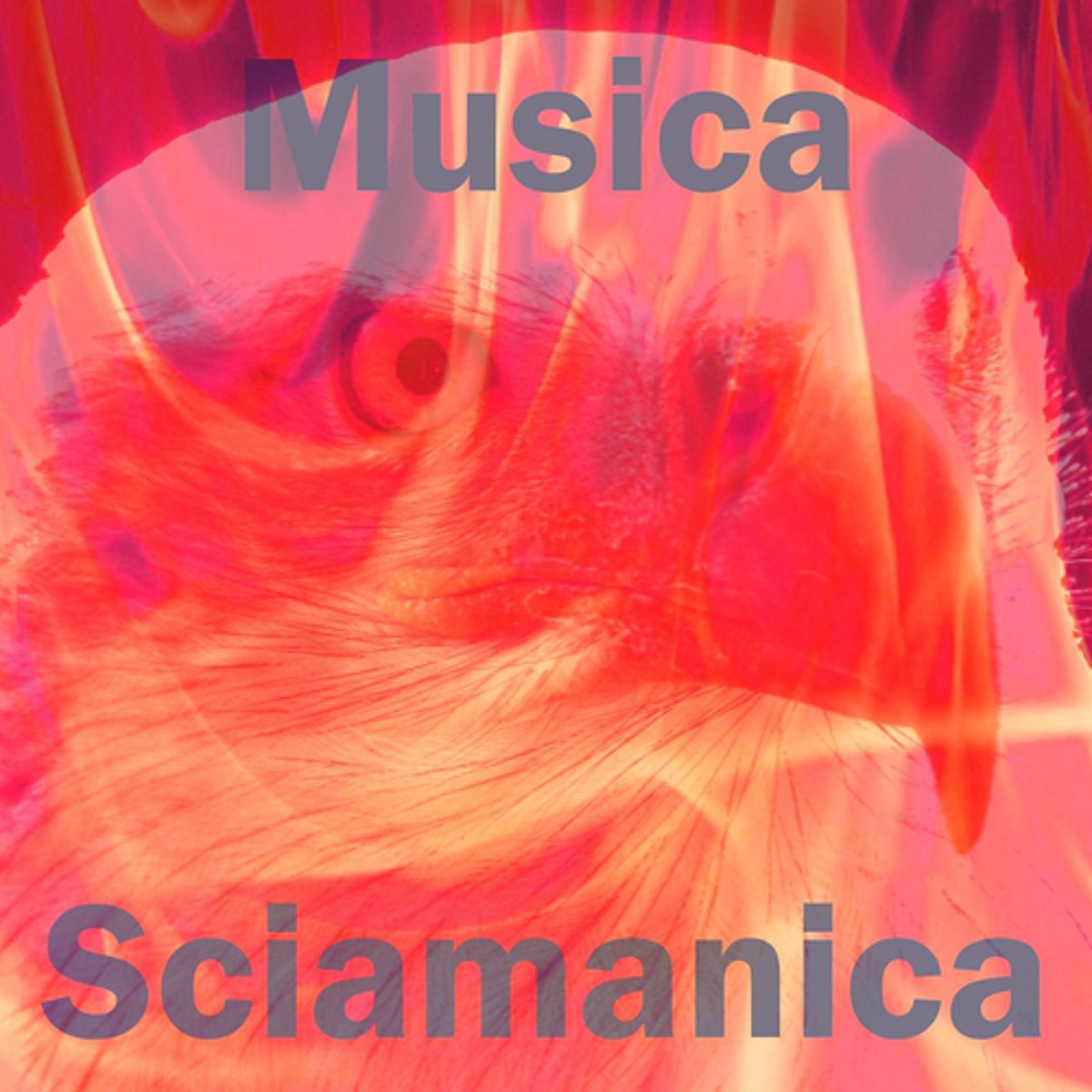 Постер альбома Musica sciamanica