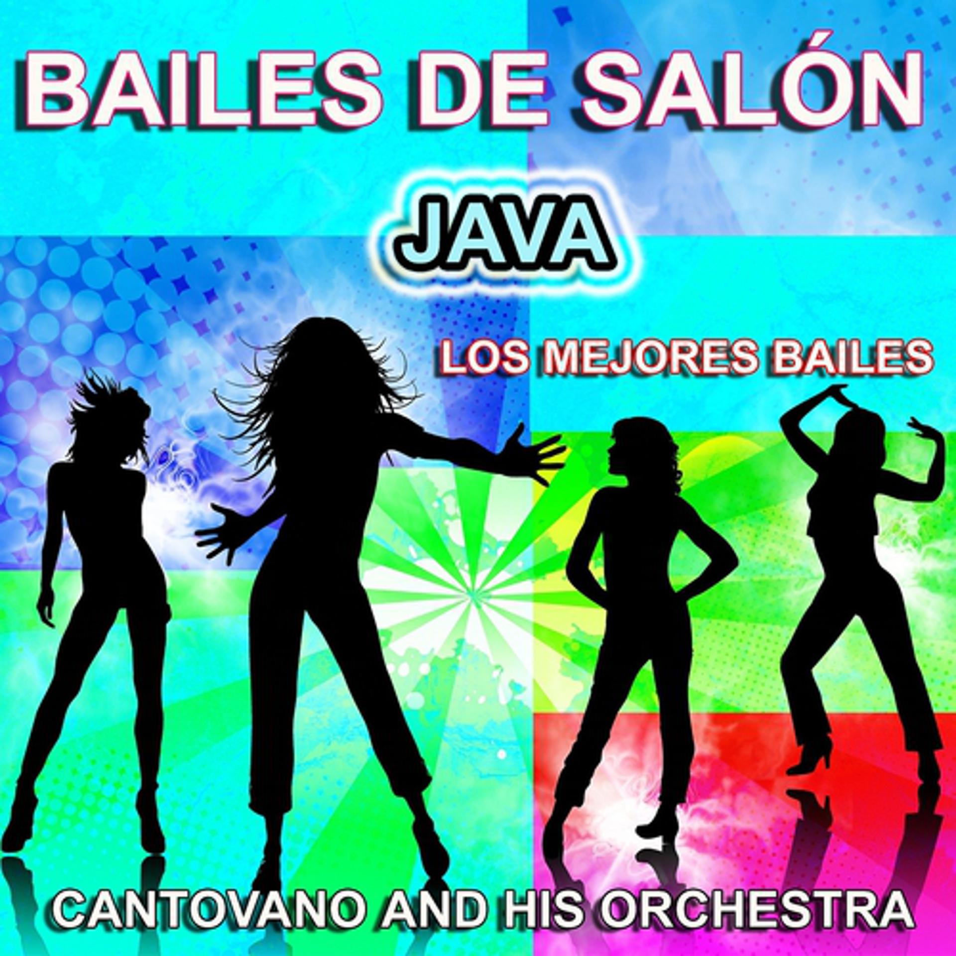 Постер альбома Bailes de Salón : Java