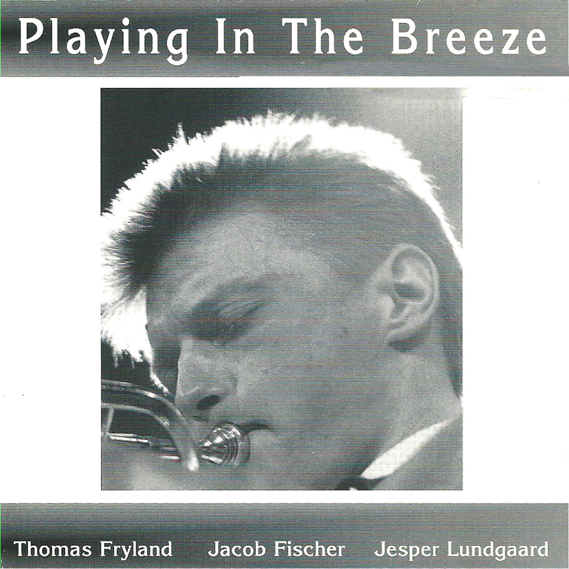 Постер альбома Playing in the Breeze (feat. Jacob Fischer & Jesper Lundgaard)