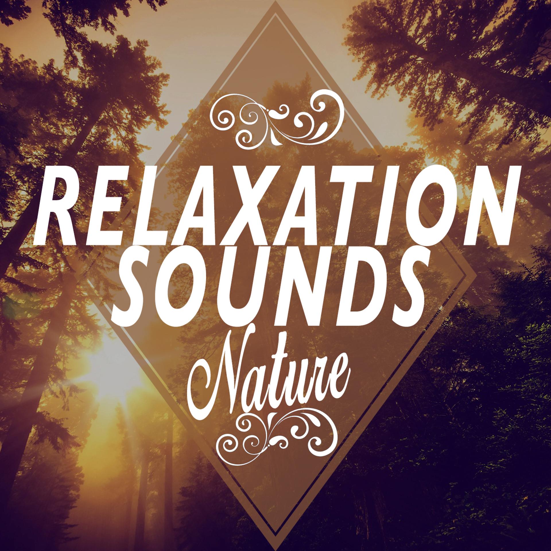 Постер альбома Relaxation Sounds: Nature