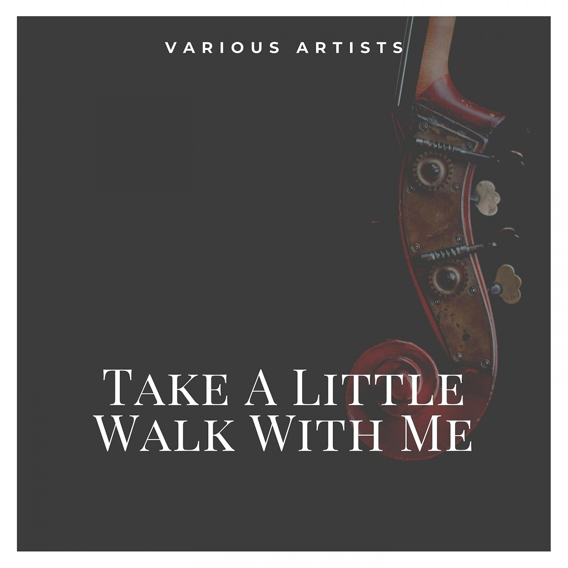 Постер альбома Take A Little Walk With Me