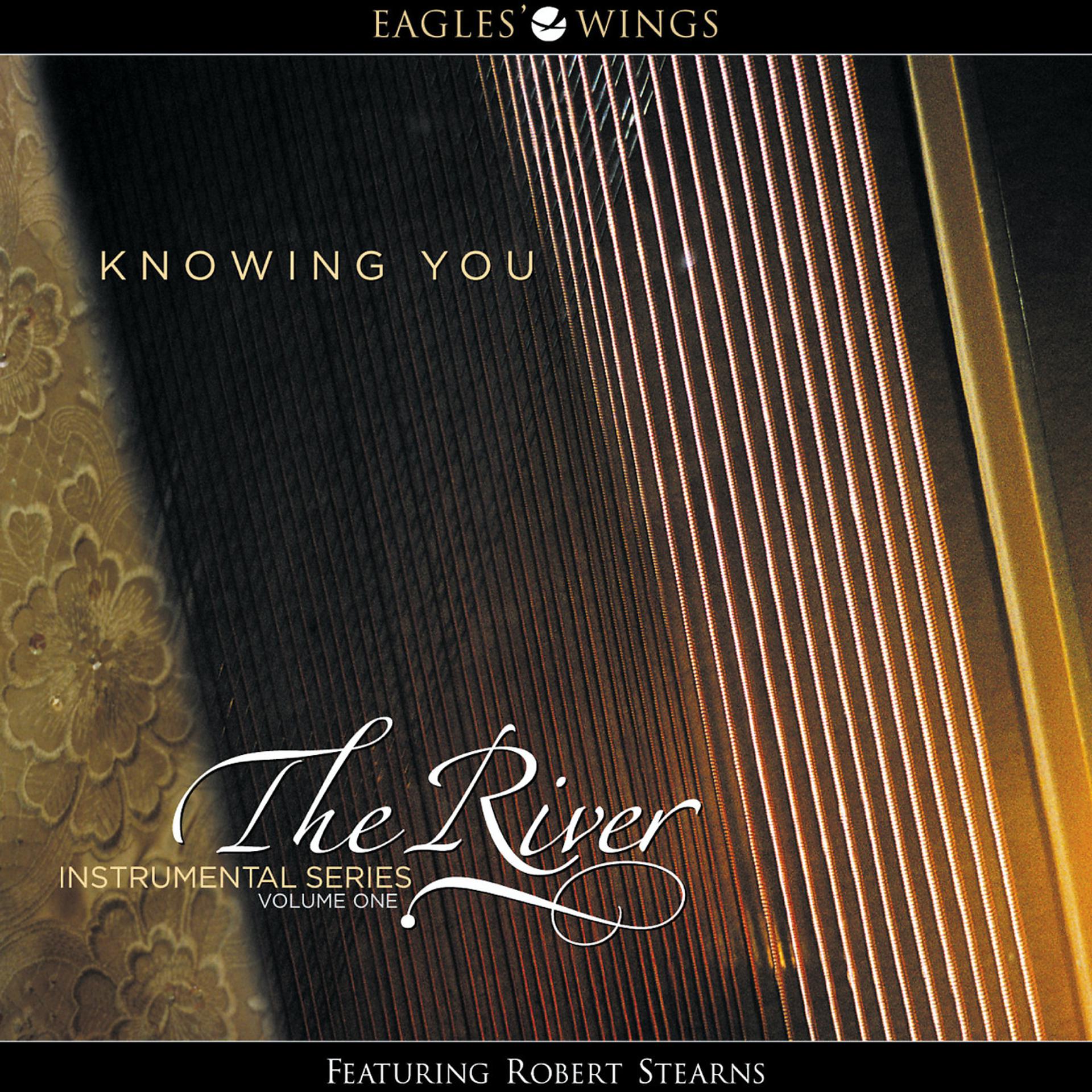 Постер альбома Knowing You (The River Instrumental Series Vol. 1)