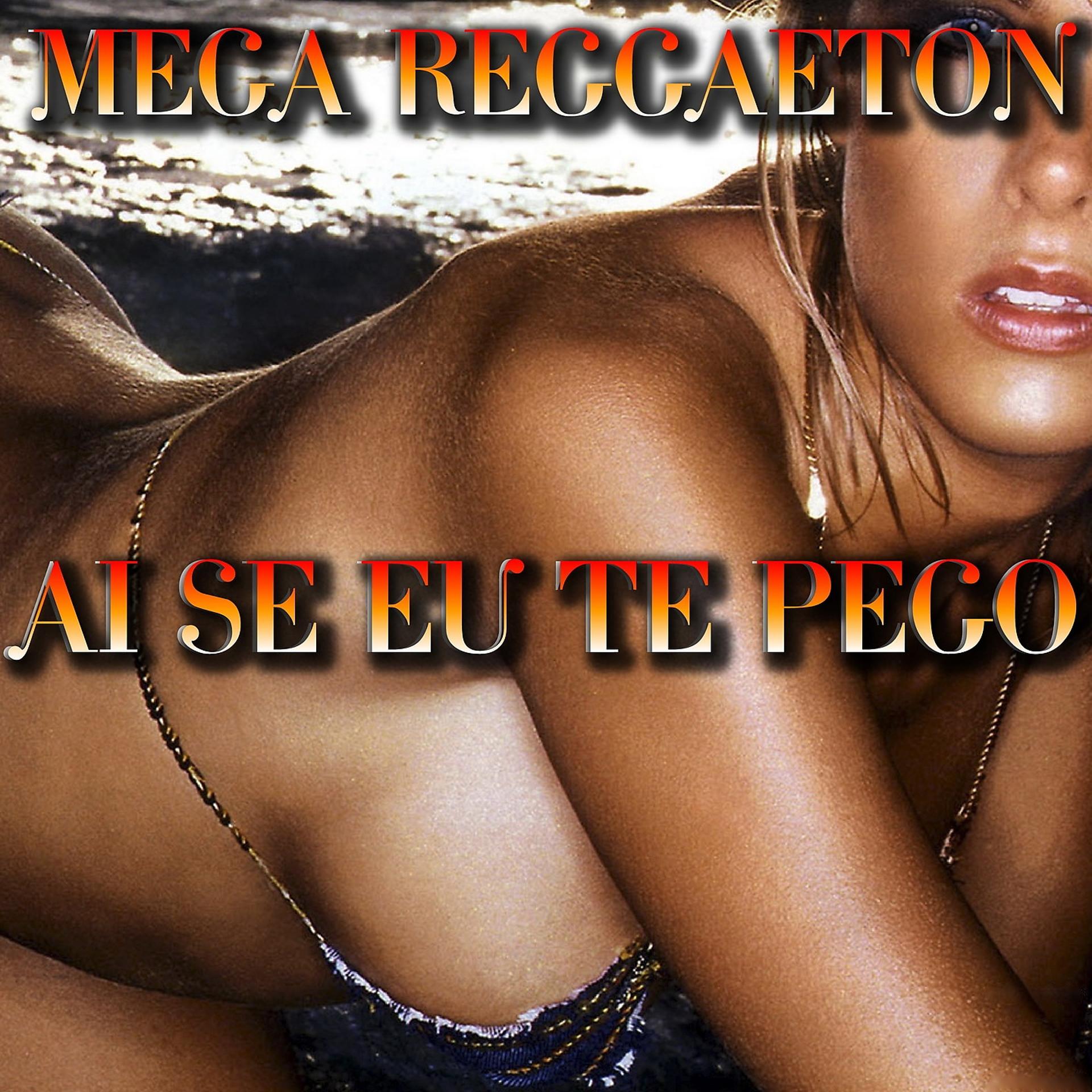 Постер альбома Ai Se Eu Te Pego: Mega Reggaeton