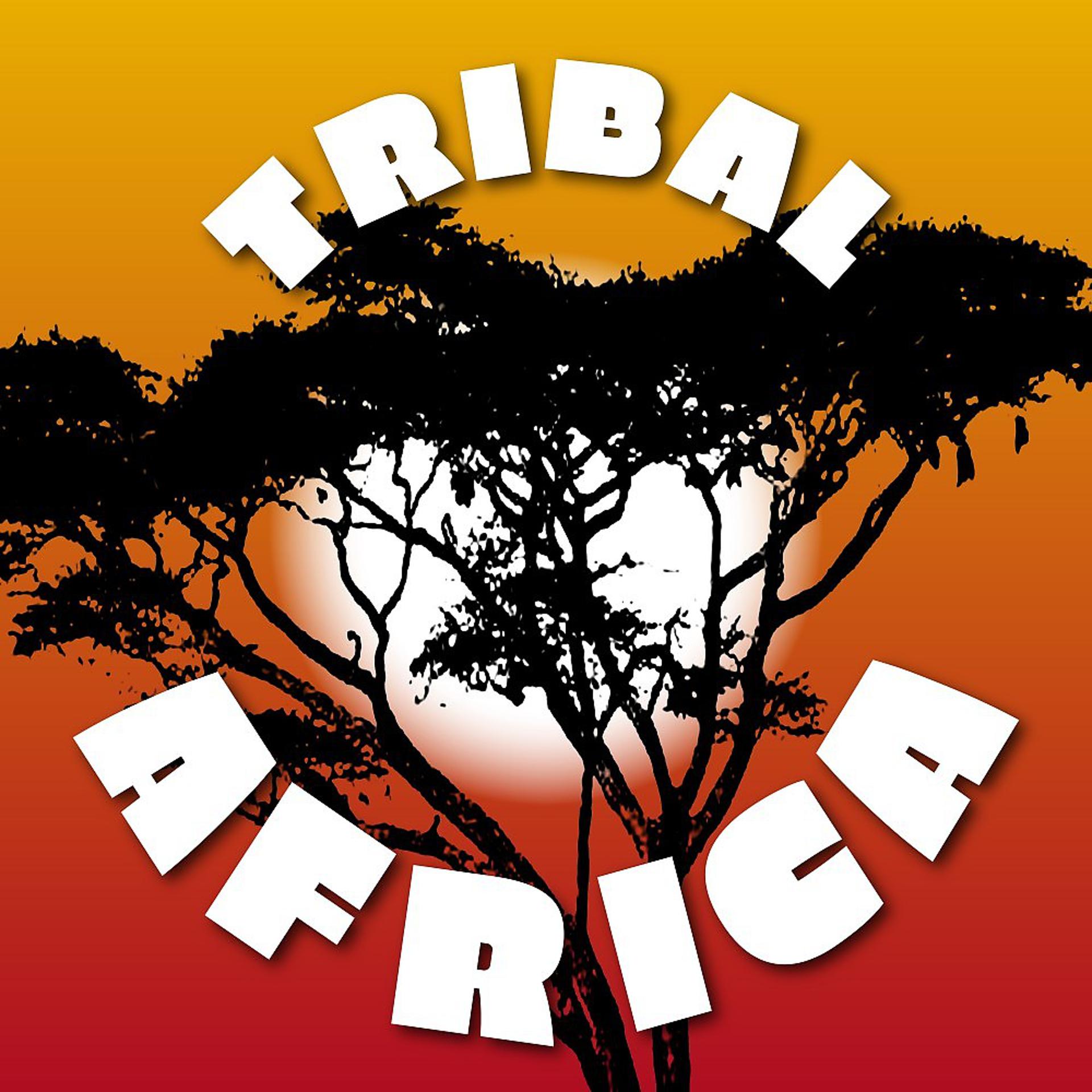 Постер альбома Tribal Africa