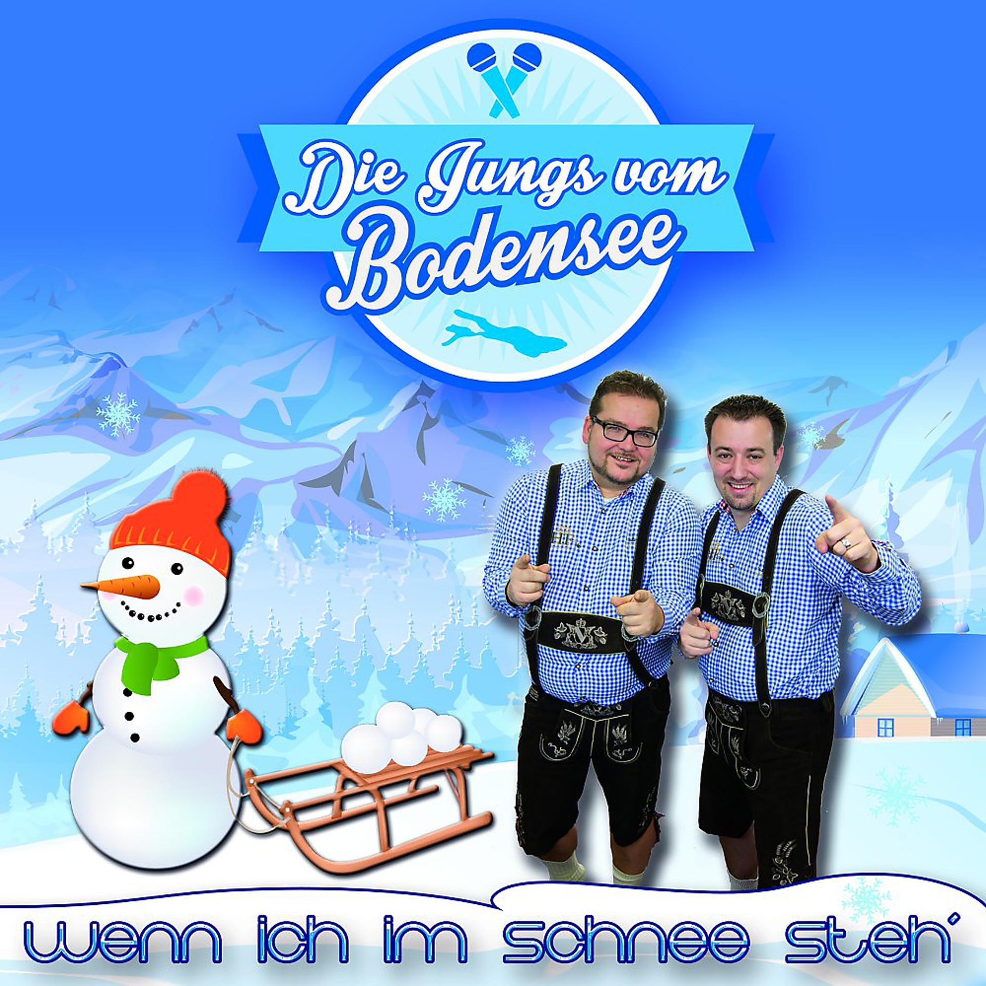 Постер альбома Wenn ich im Schnee steh'