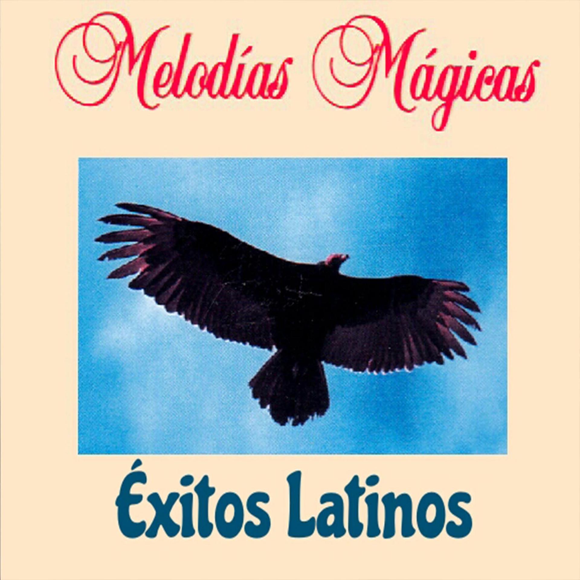 Постер альбома Melodías Mágicas, Éxitos Latinos