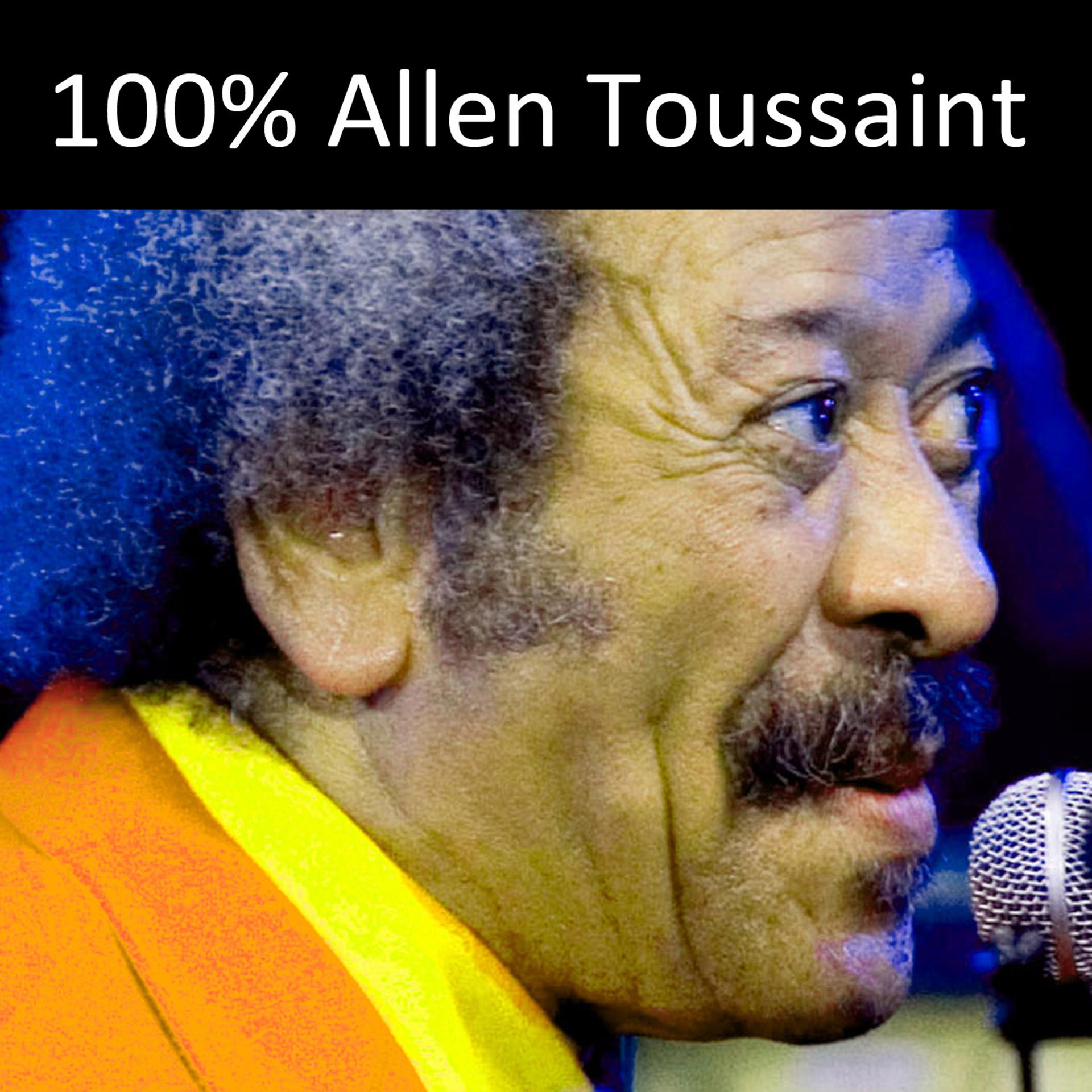 Постер альбома 100% Allen Toussaint