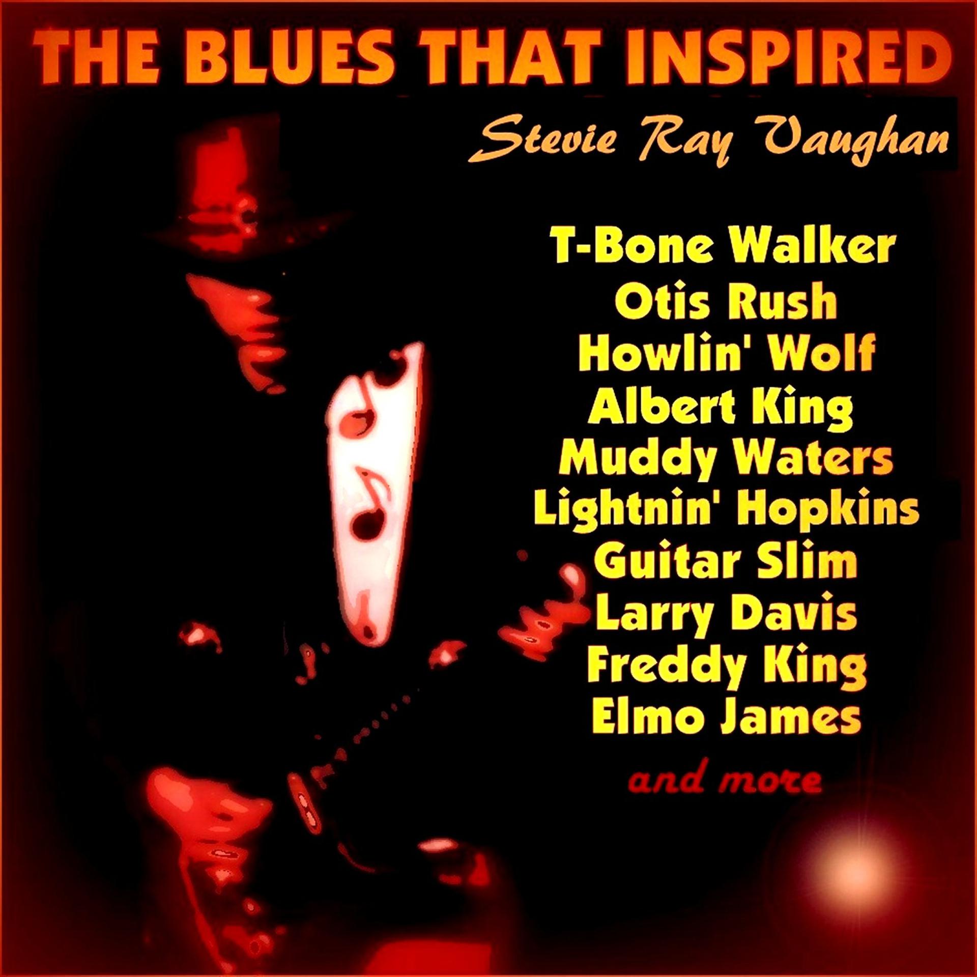 Постер альбома The Blues That Inspired Stevie Ray Vaughan