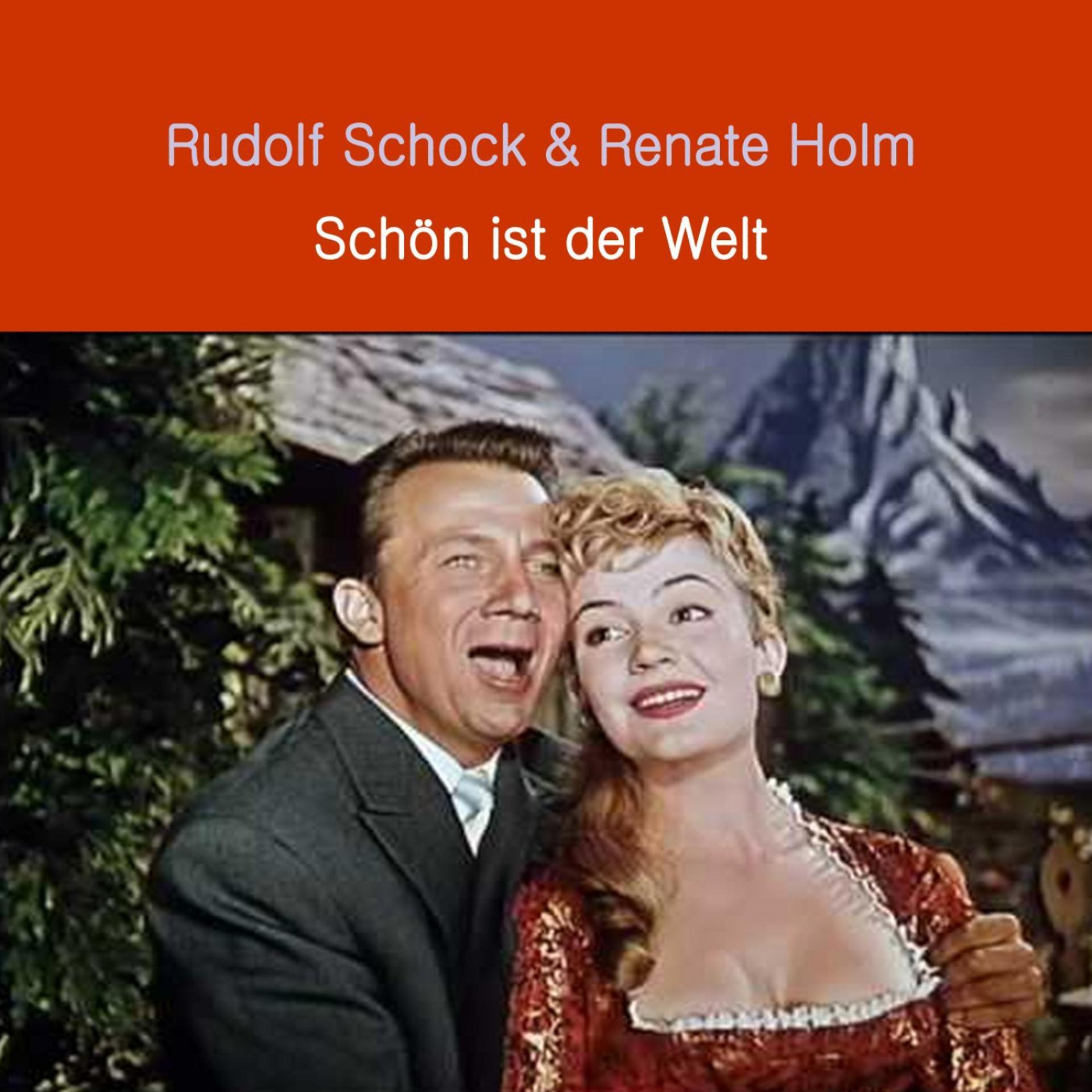 Постер альбома Schön ist der Welt