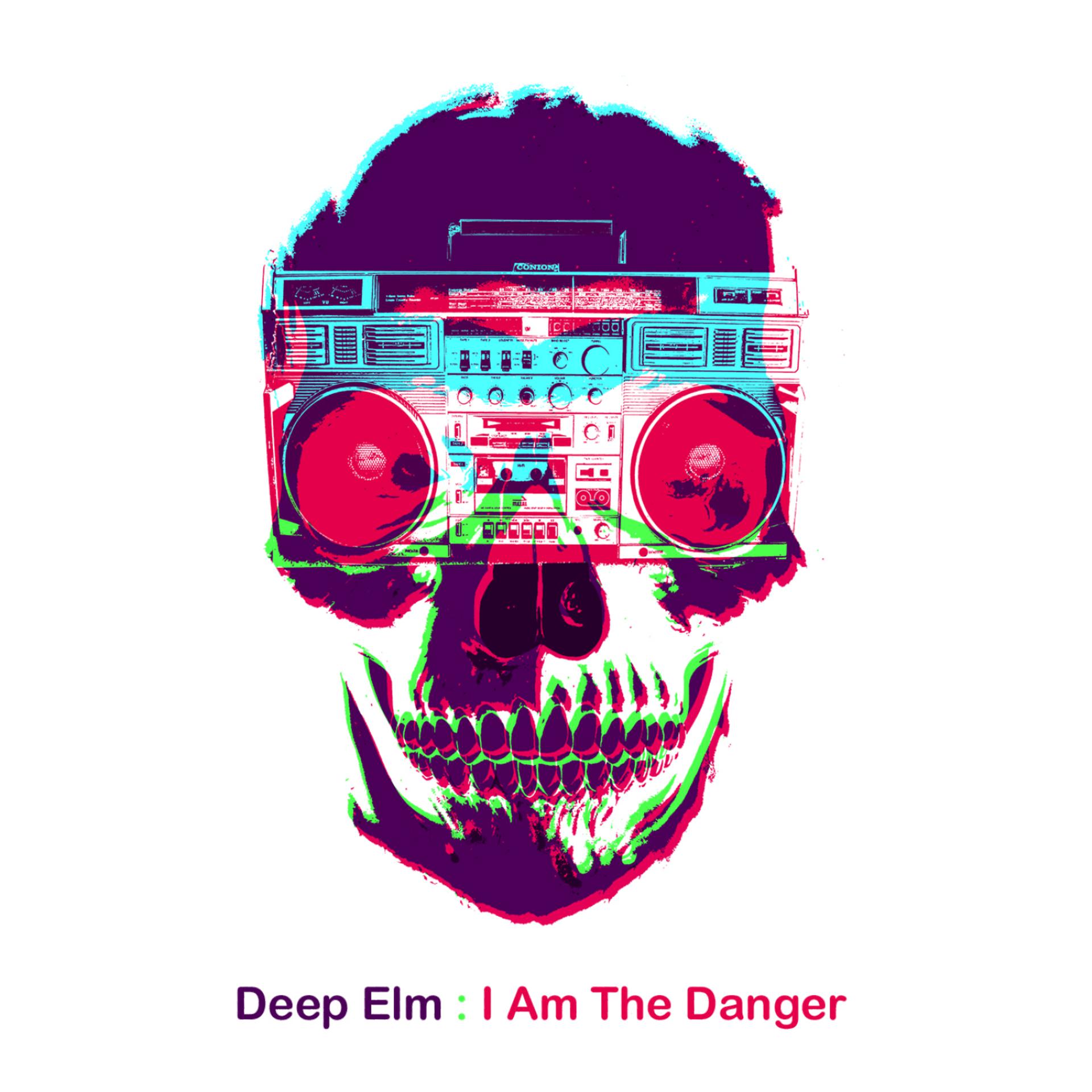 Постер альбома Deep Elm Records Sampler 11 - I Am the Danger