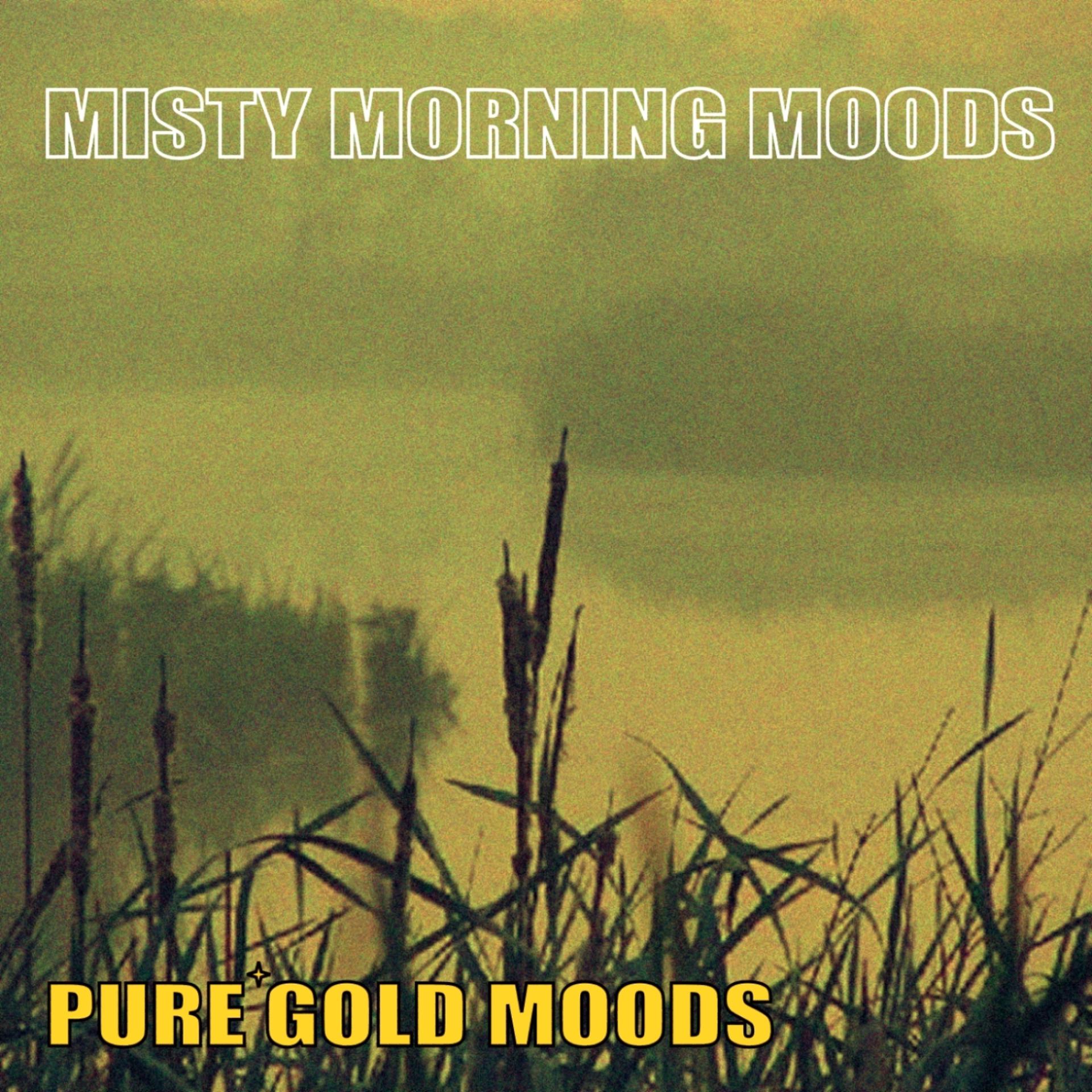 Постер альбома Pure Gold Moods - Misty Morning Moods