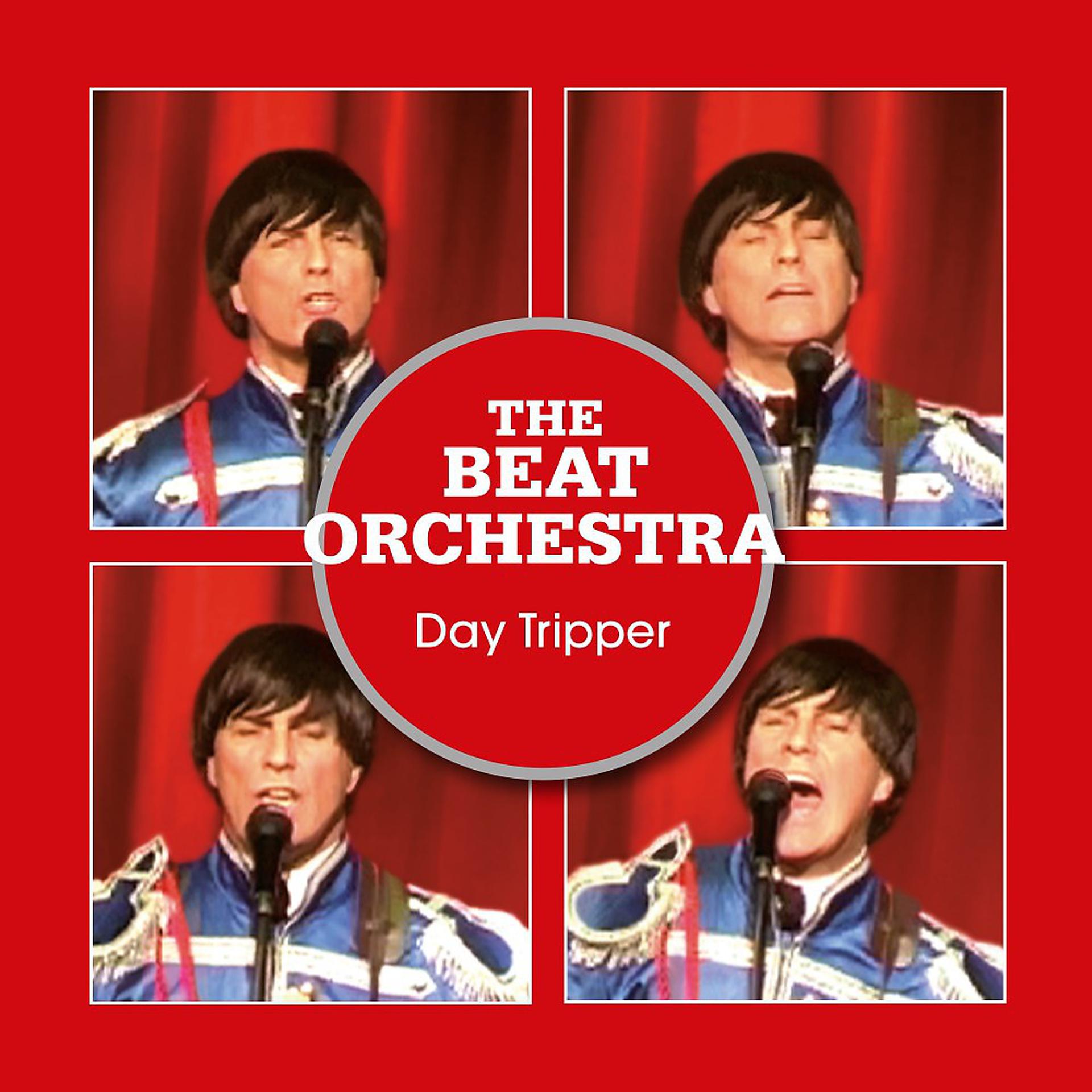 Постер альбома Day Tripper