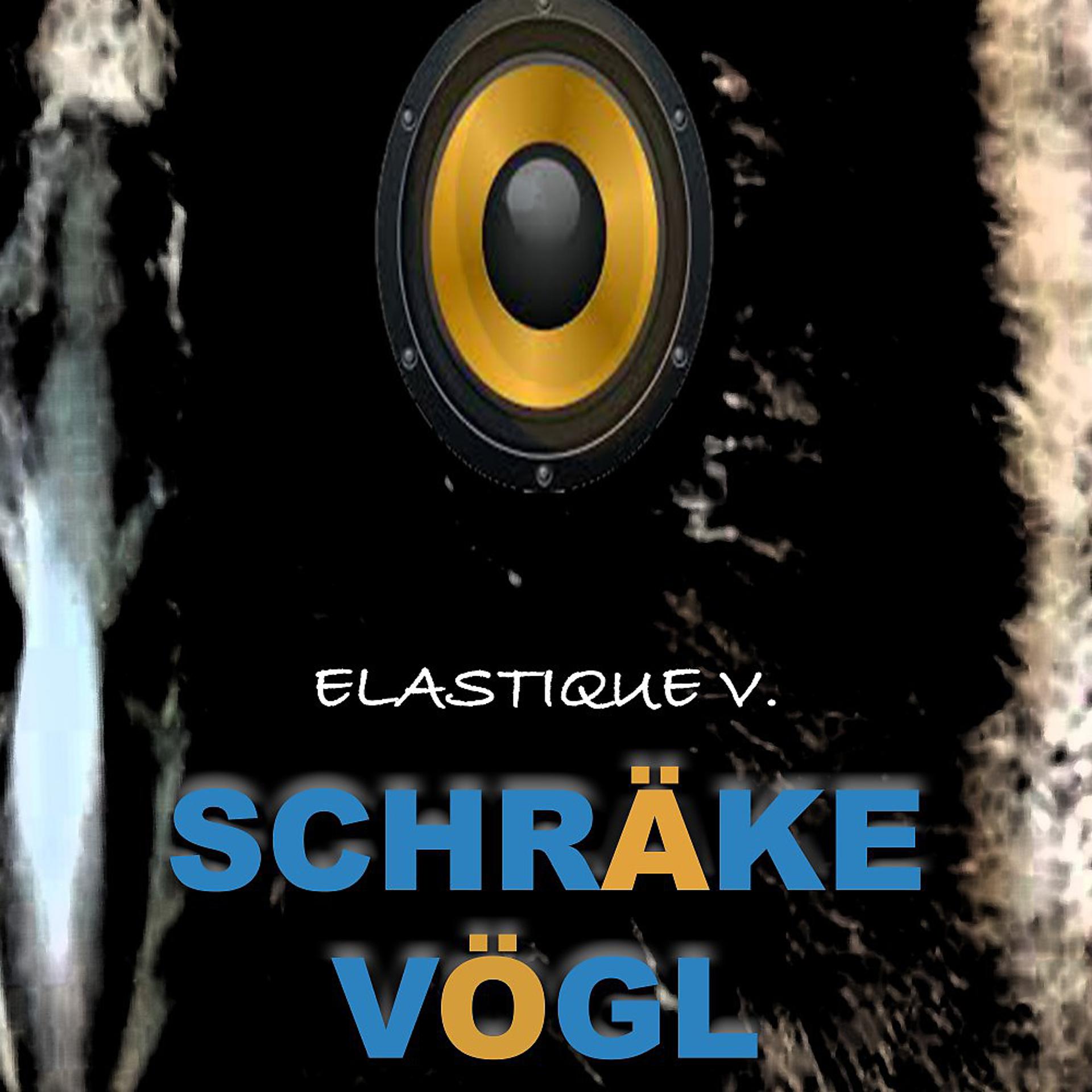 Постер альбома Schräke Vögl