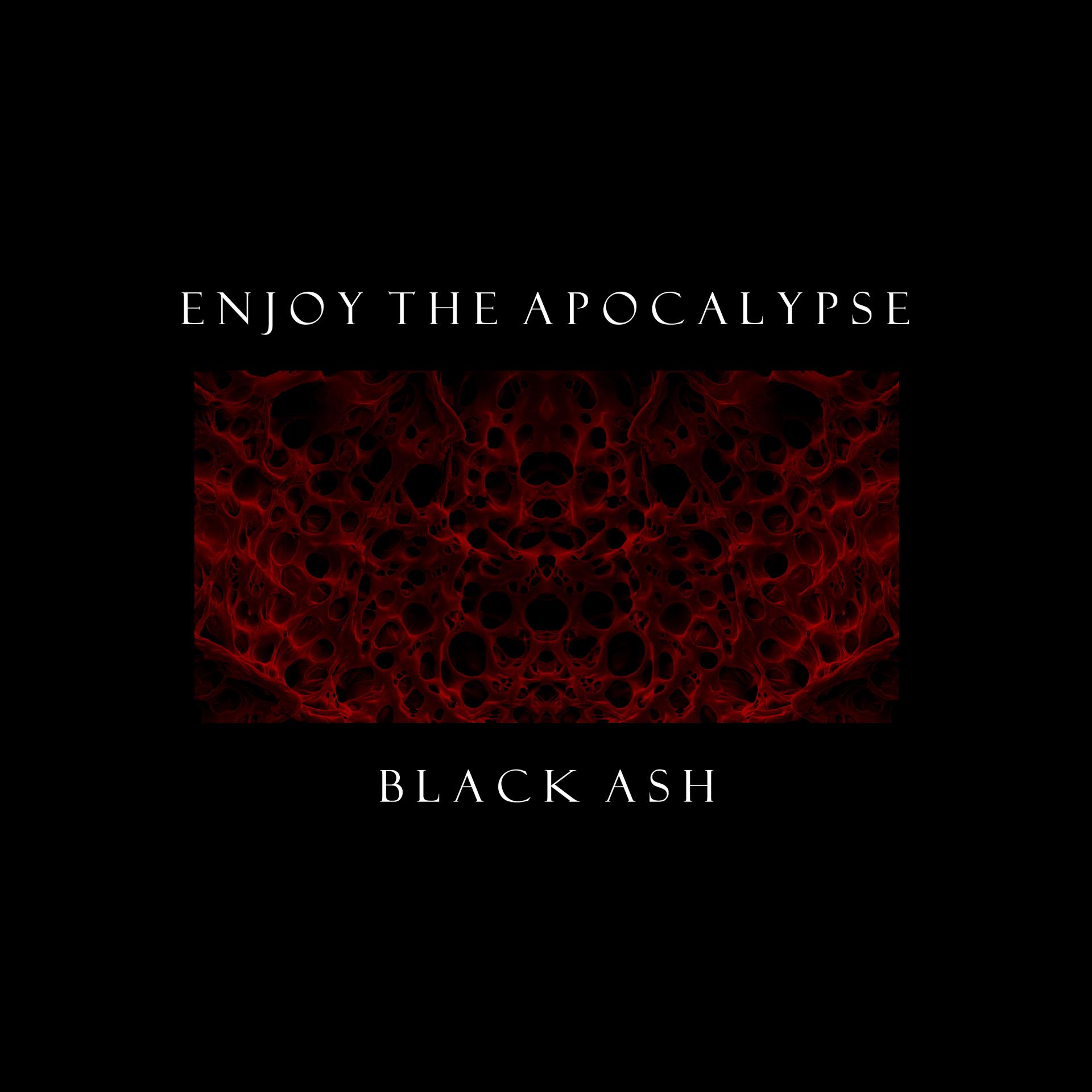 Постер альбома Enjoy the Apocalypse