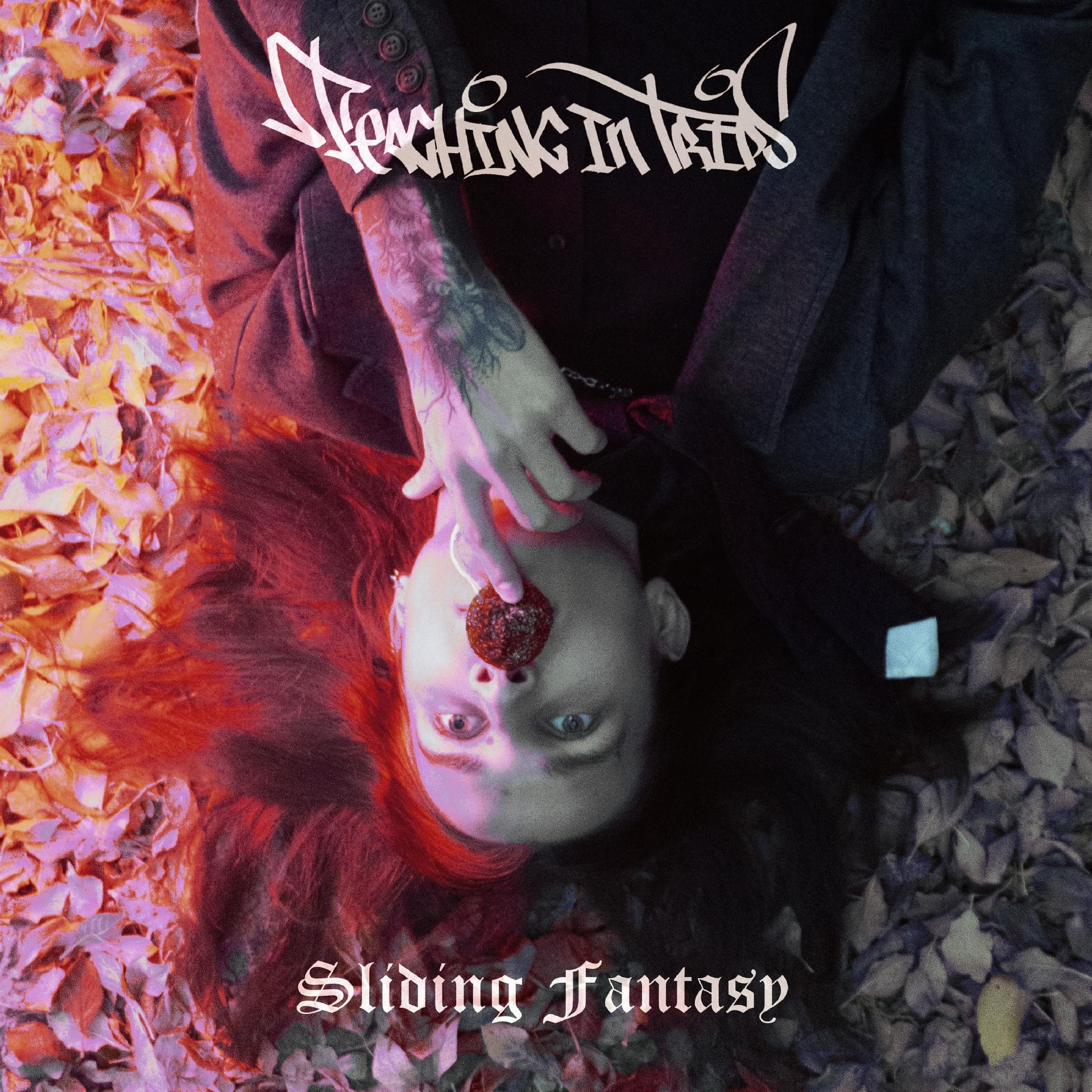 Постер альбома Sliding Fantasy