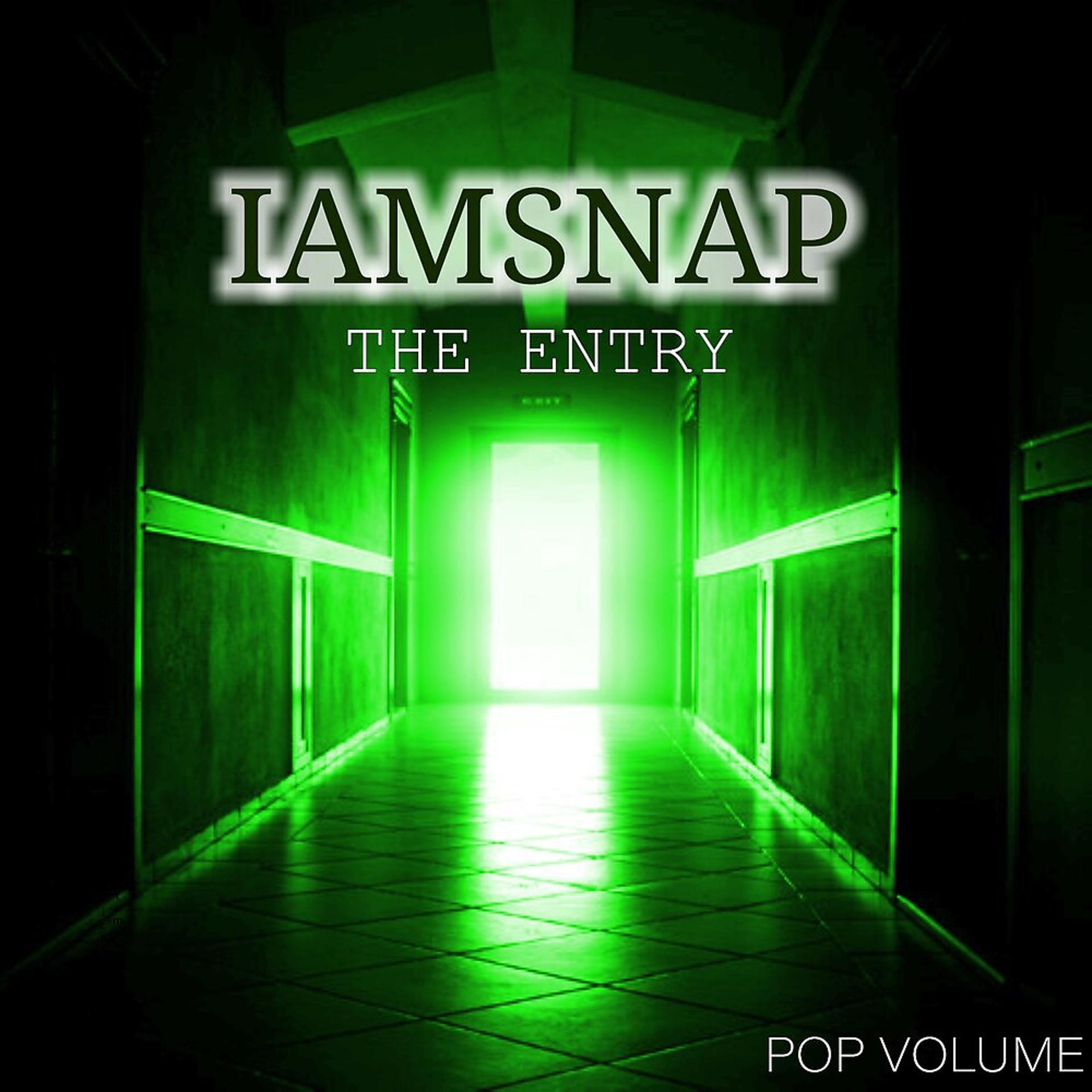 Постер альбома The Entry (Pop Volume)