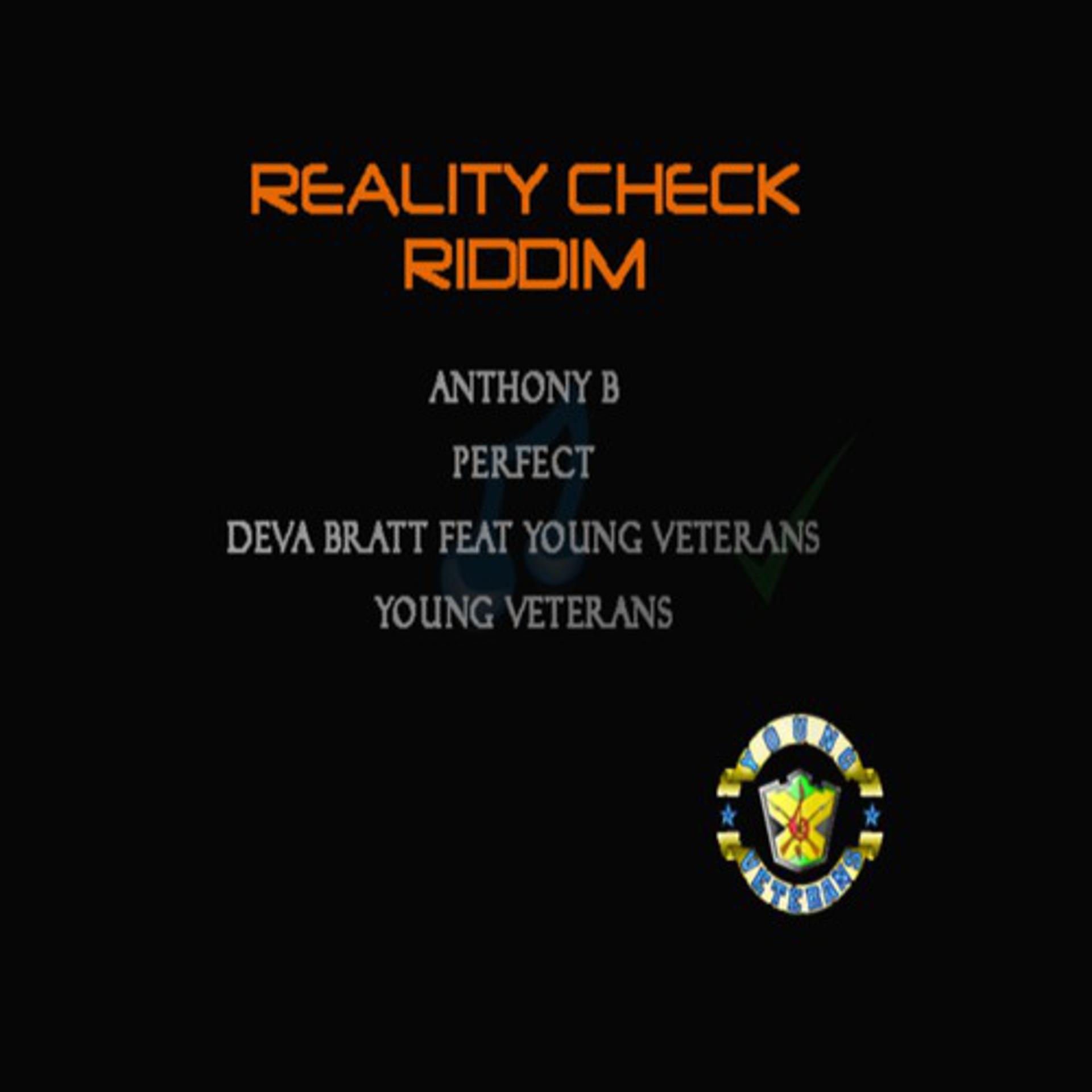 Постер альбома Reality Check Riddim