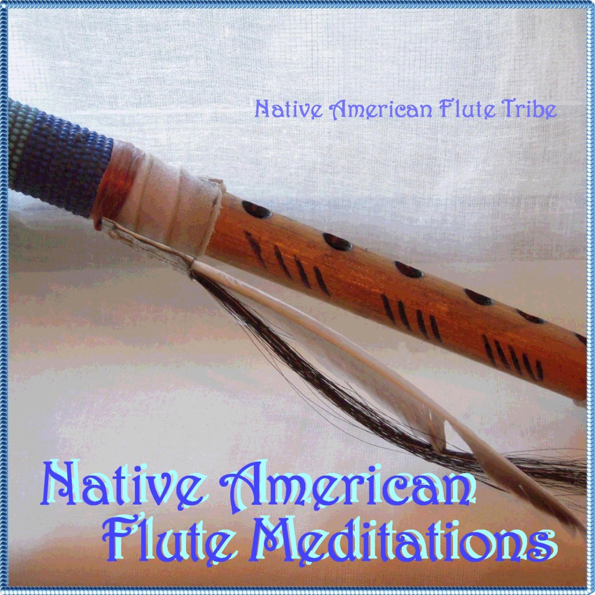 Постер альбома Native American Flute Meditations