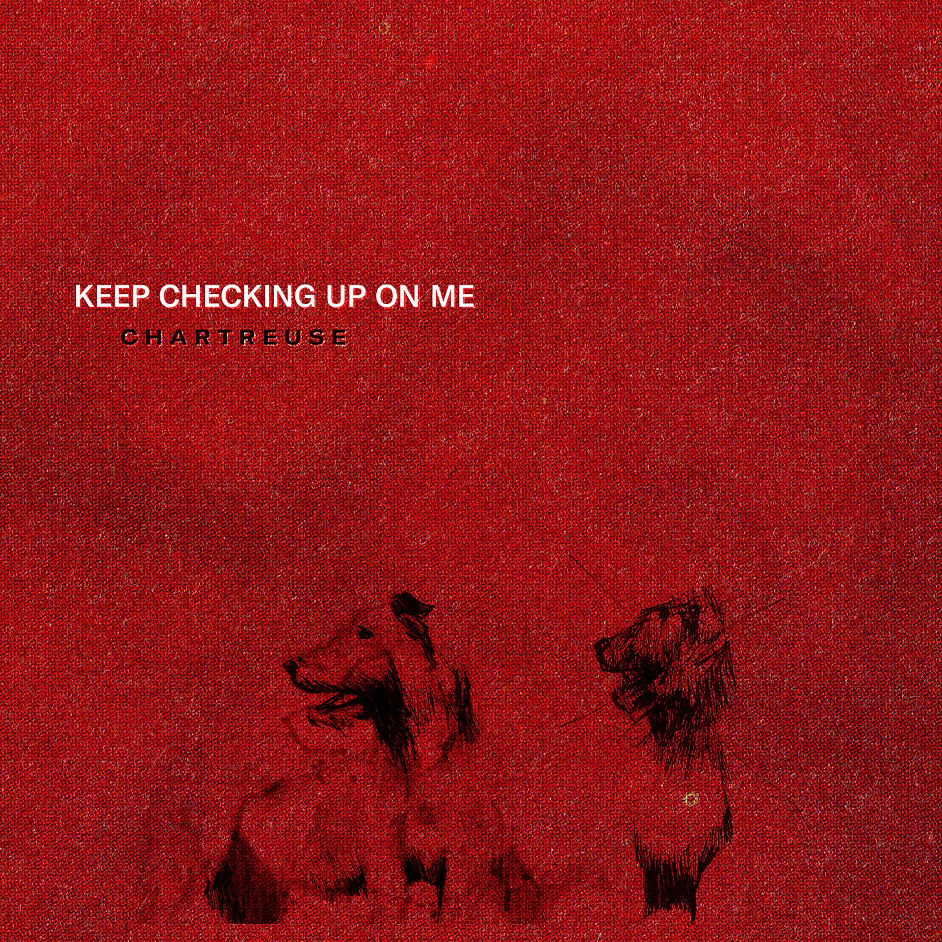 Постер альбома Keep Checking Up On Me