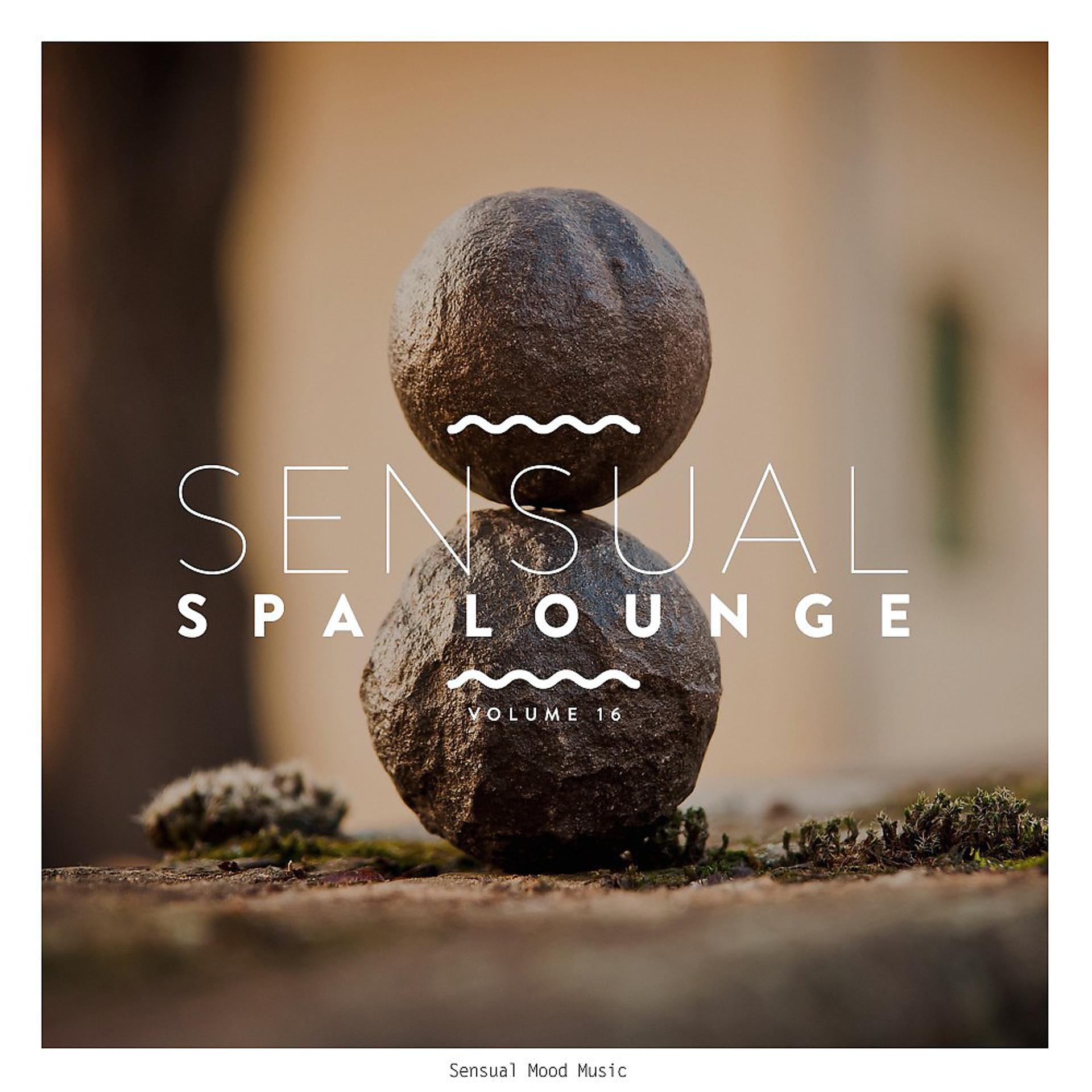Постер альбома Sensual Spa Lounge, Vol. 16