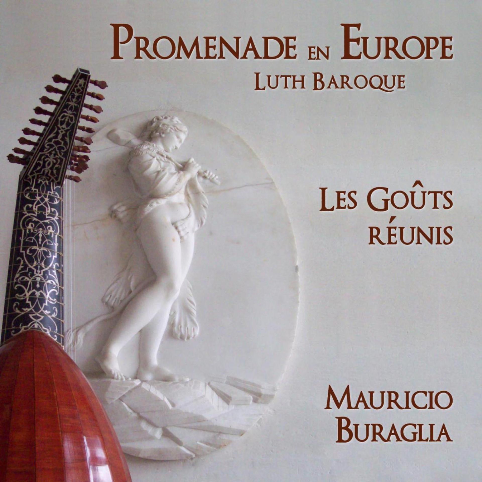 Постер альбома Promenade en Europe Luth Baroque