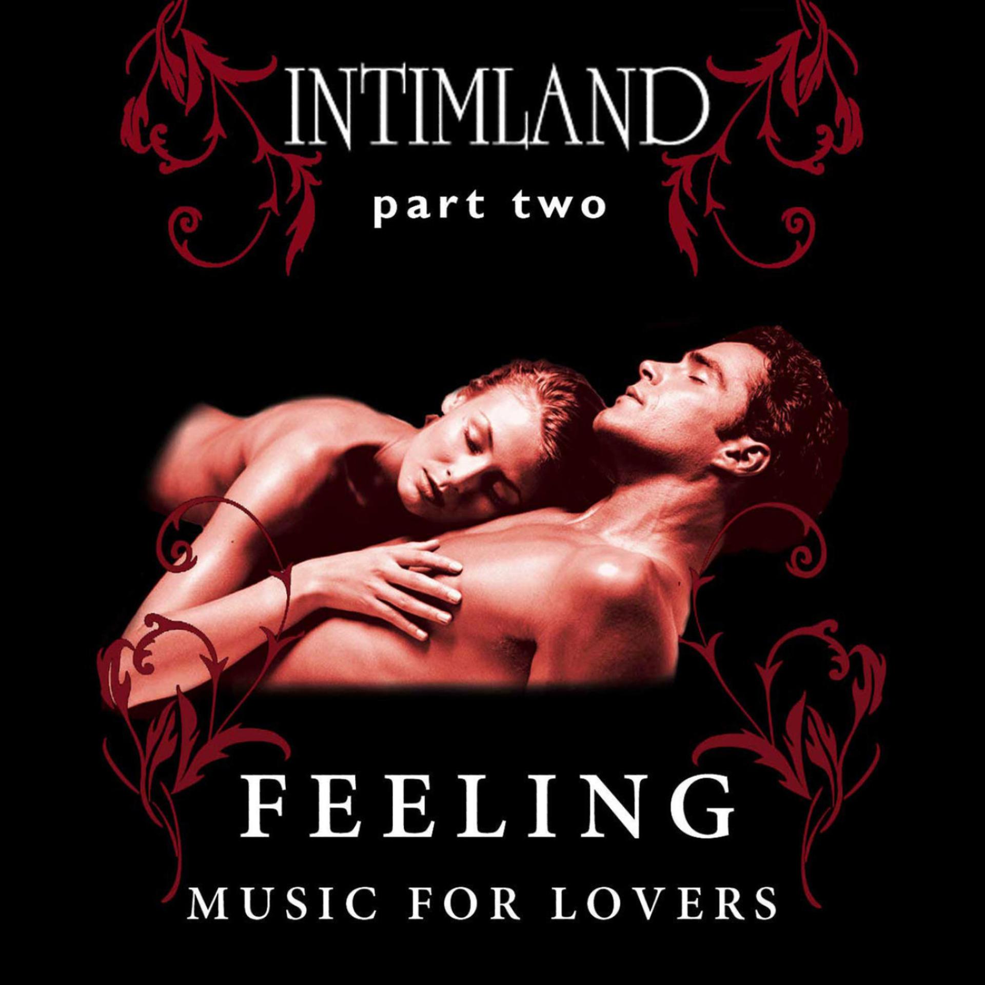 Постер альбома Intimland Part 2 - Feeling