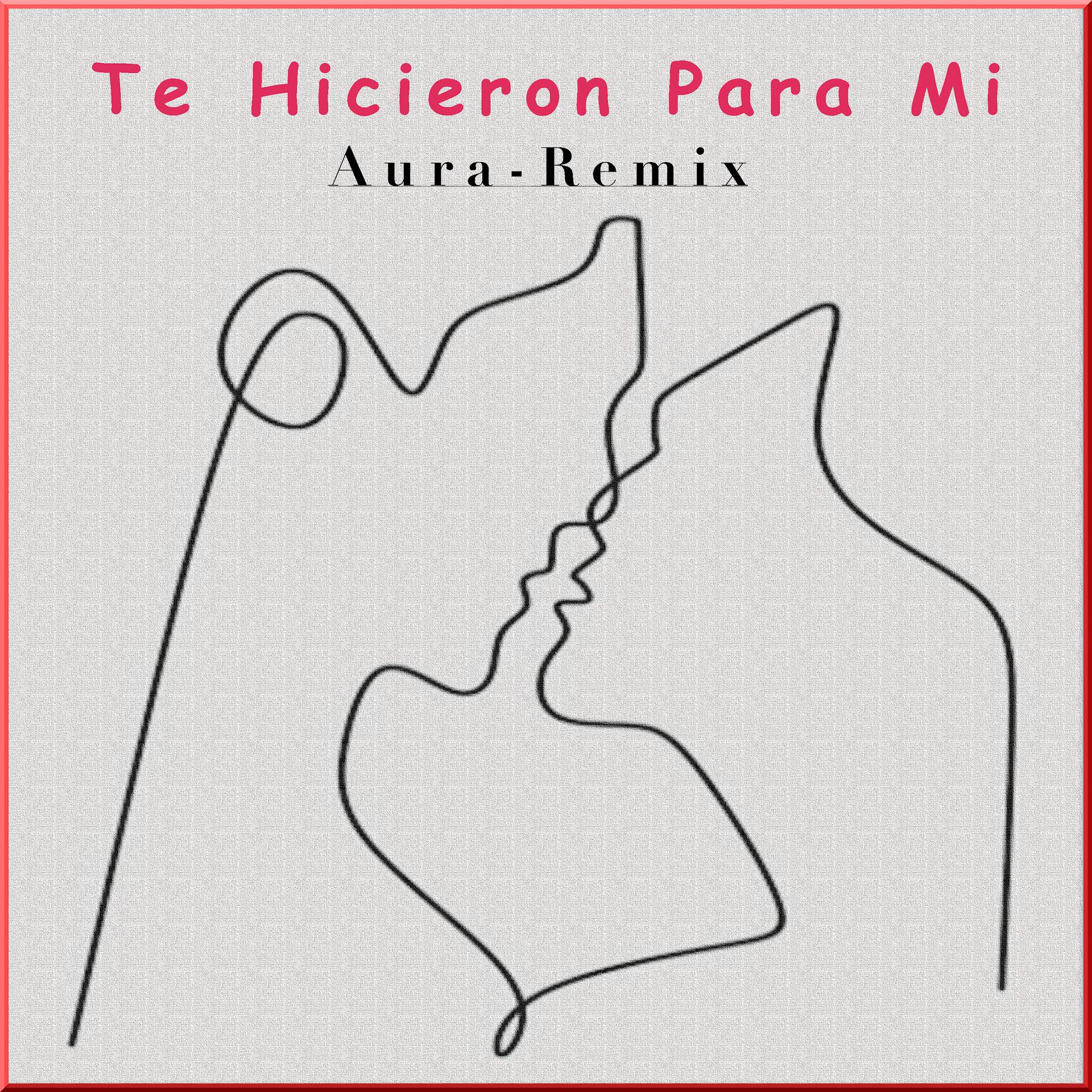 Постер альбома Te Hicieron Para Mi (Aura Remix)
