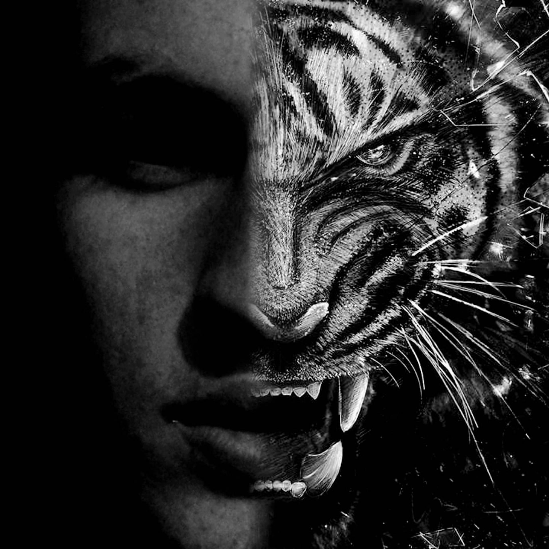 Постер альбома Тигр бум