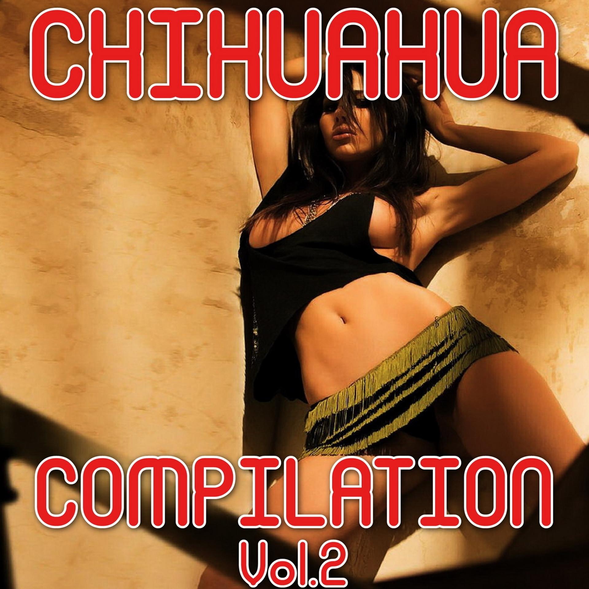 Постер альбома Chihuahua Compilation, Vol. 2