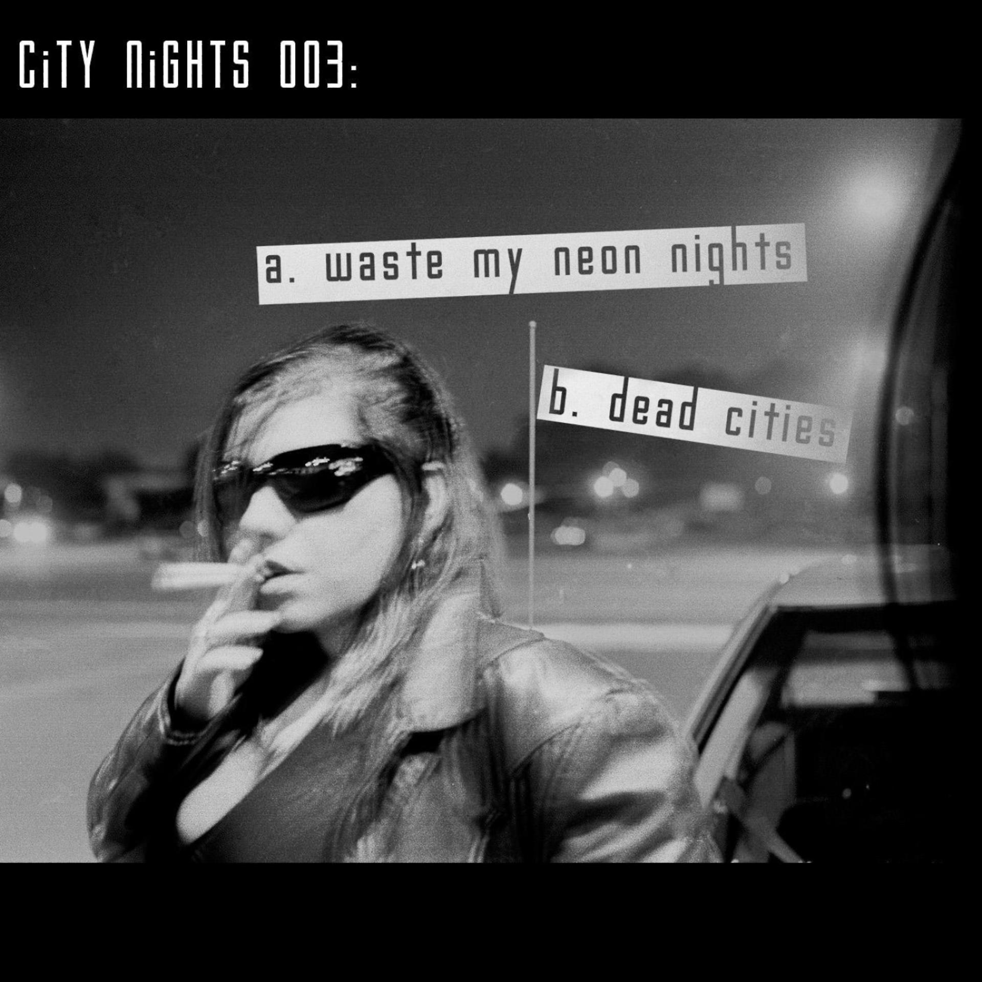 Постер альбома Waste My Neon Nights - Single