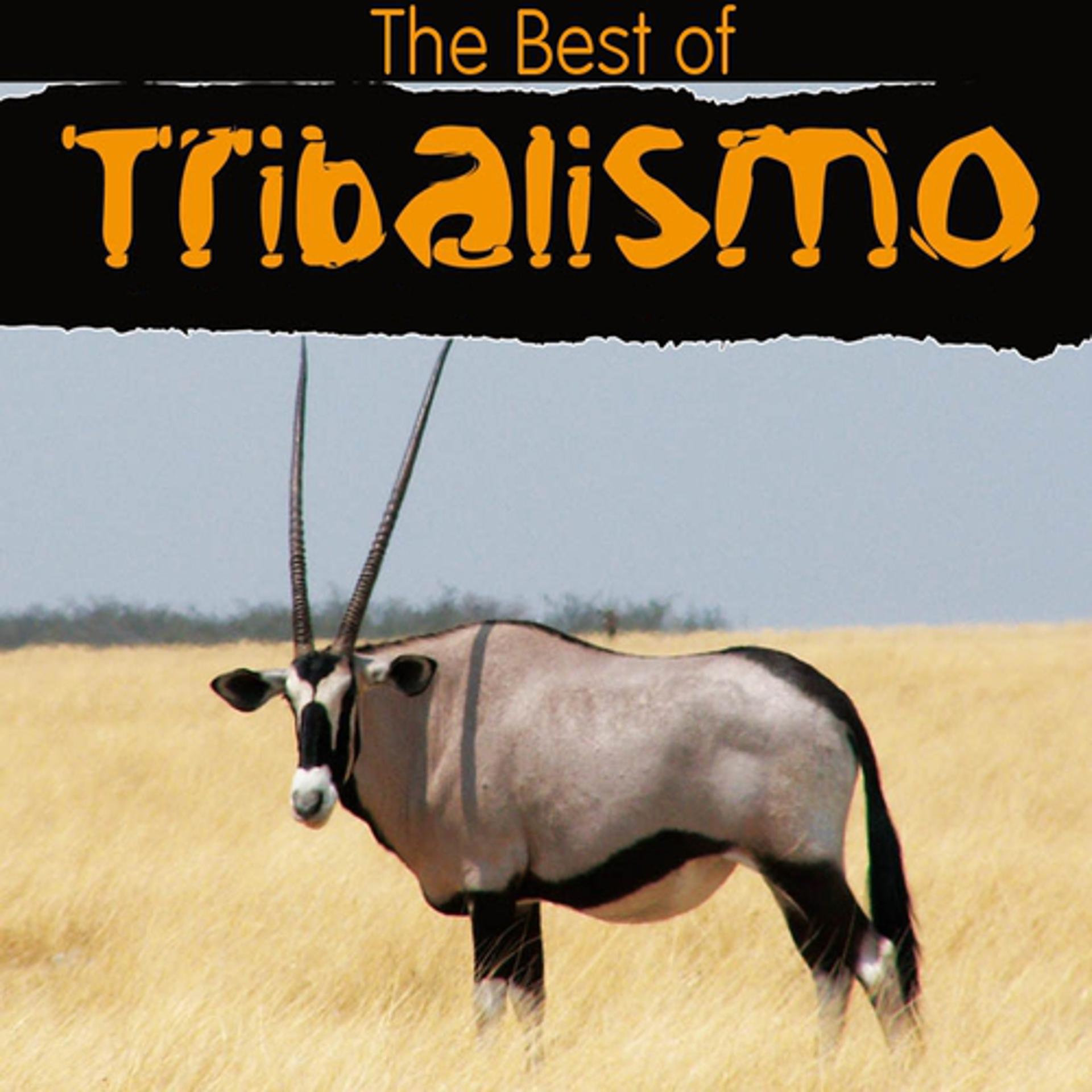Постер альбома The Best of Tribalismo