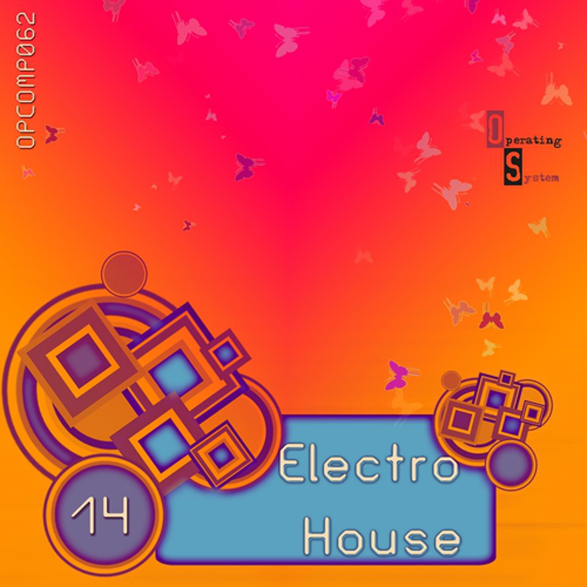 Постер альбома Electro House 14