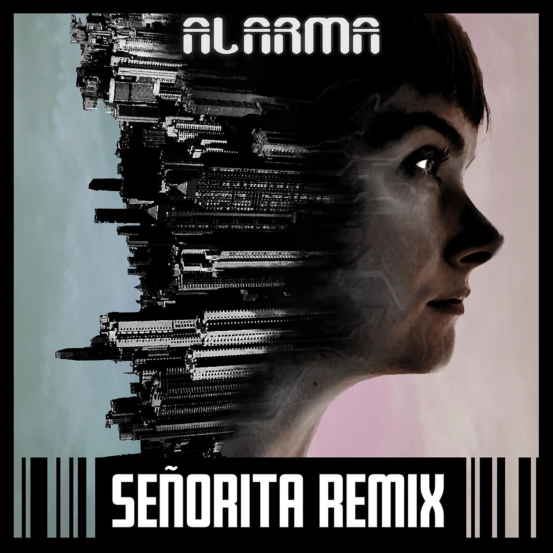 Постер альбома Señorita Remix