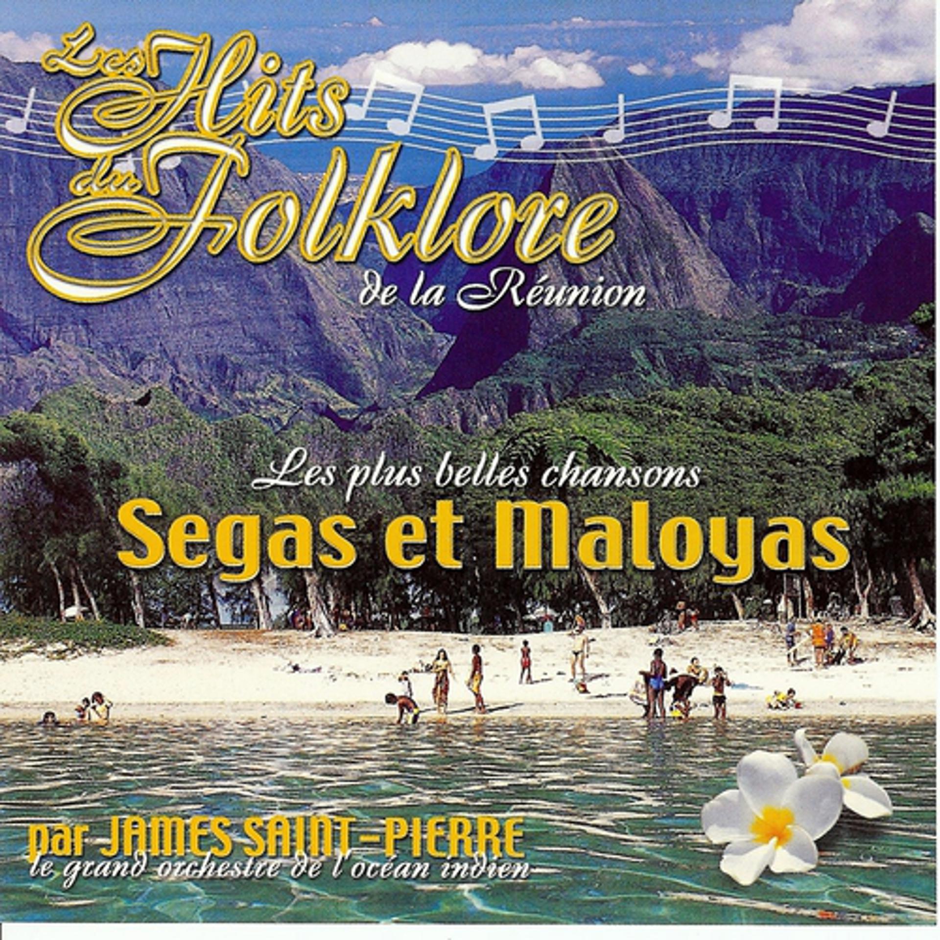 Постер альбома Les hits du folklore de la Réunion