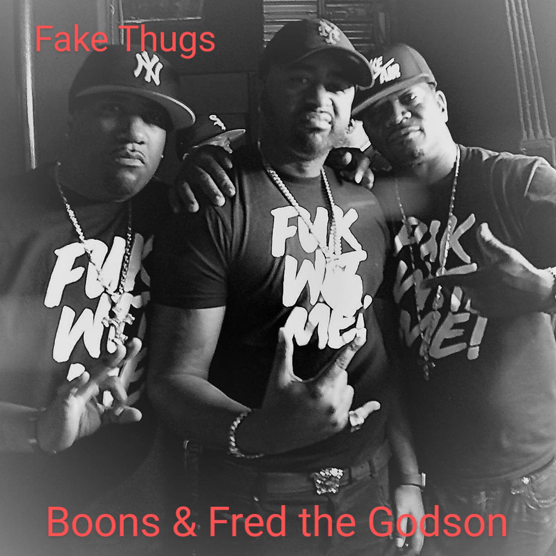 Постер альбома Fake Thugs