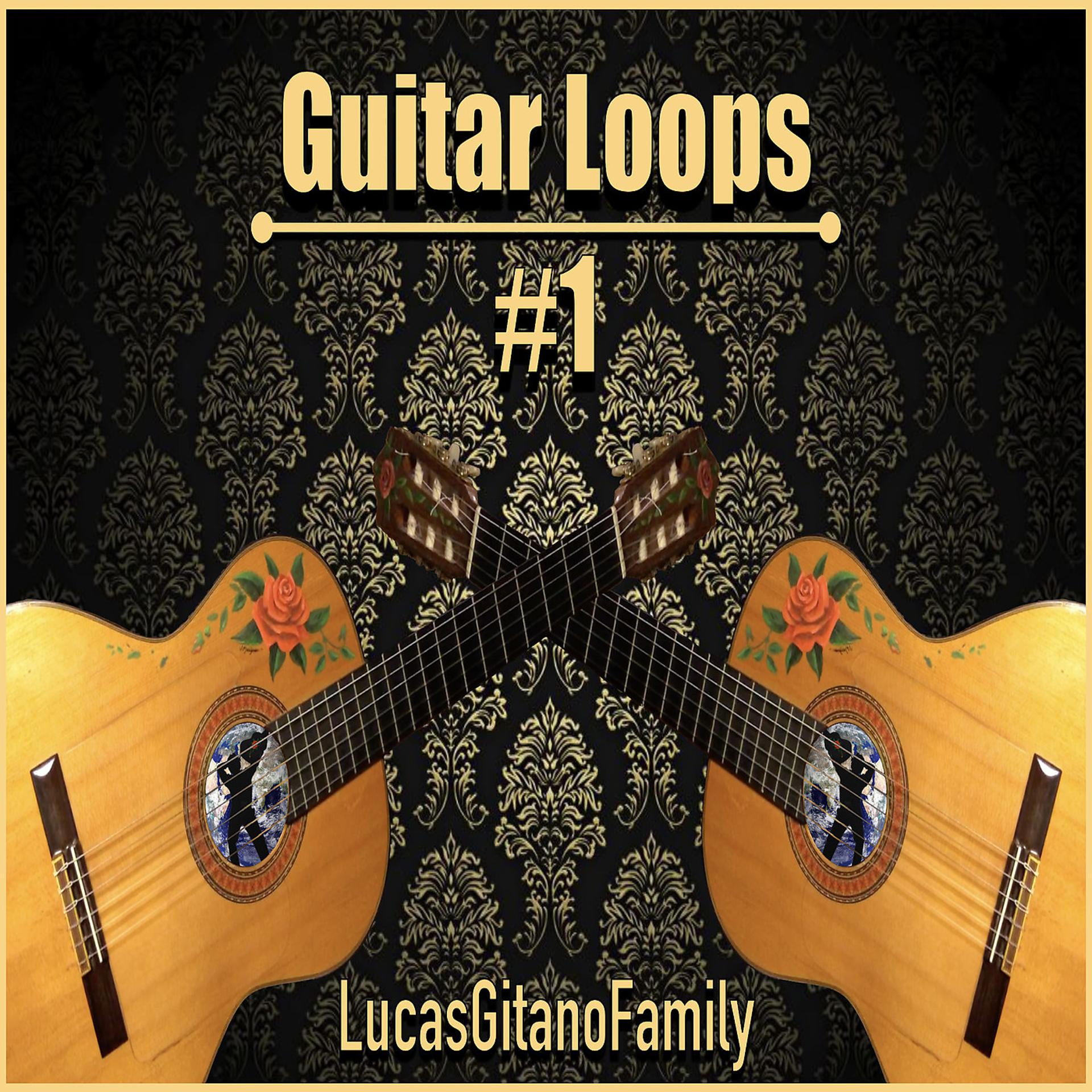 Постер альбома Guitar Loops #1