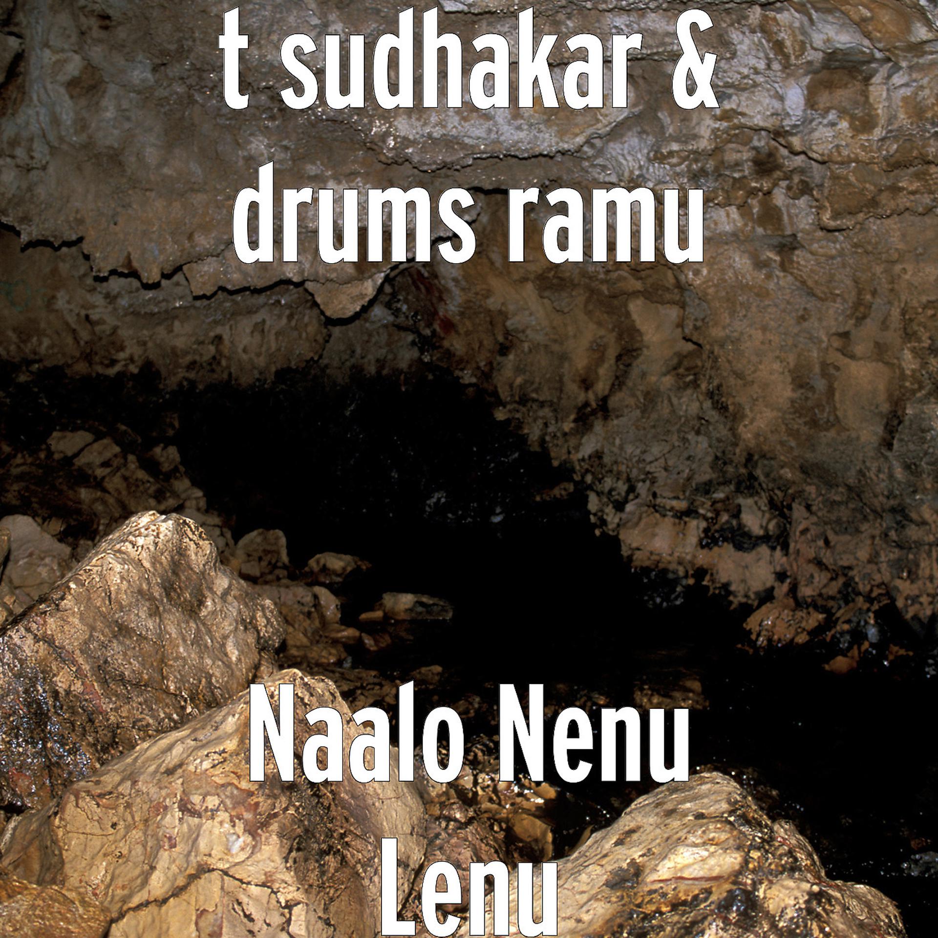 Постер альбома Naalo Nenu Lenu