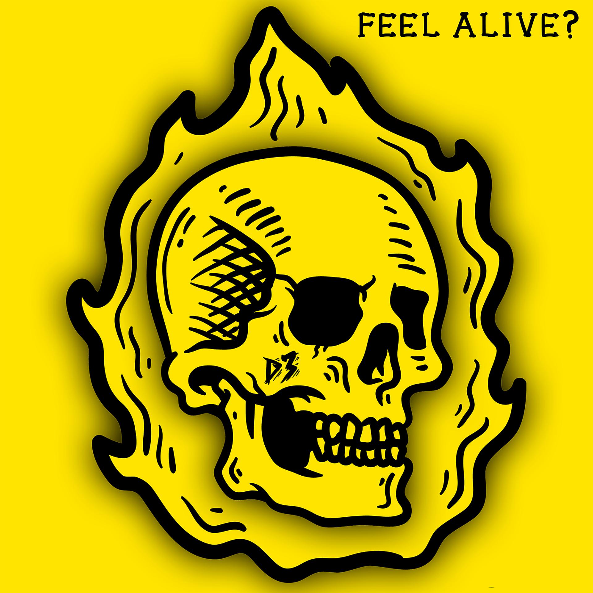 Постер альбома Drop 3: Feel Alive?