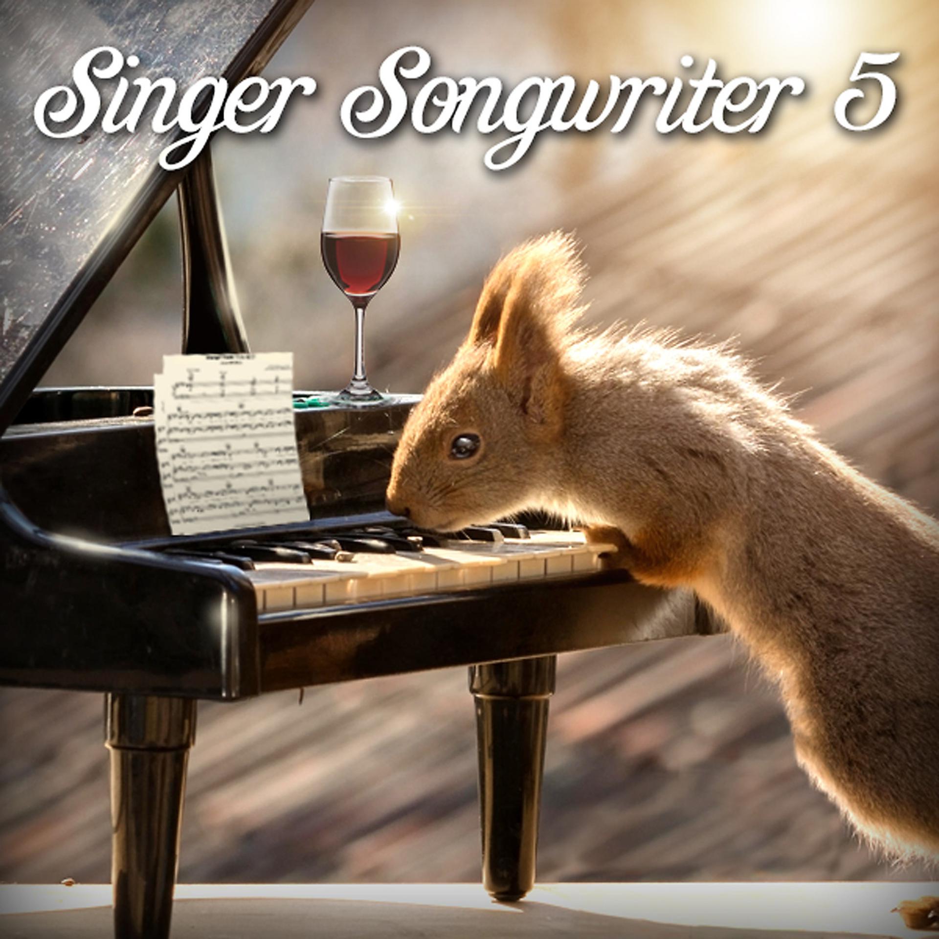 Постер альбома Singer Songwriter 5