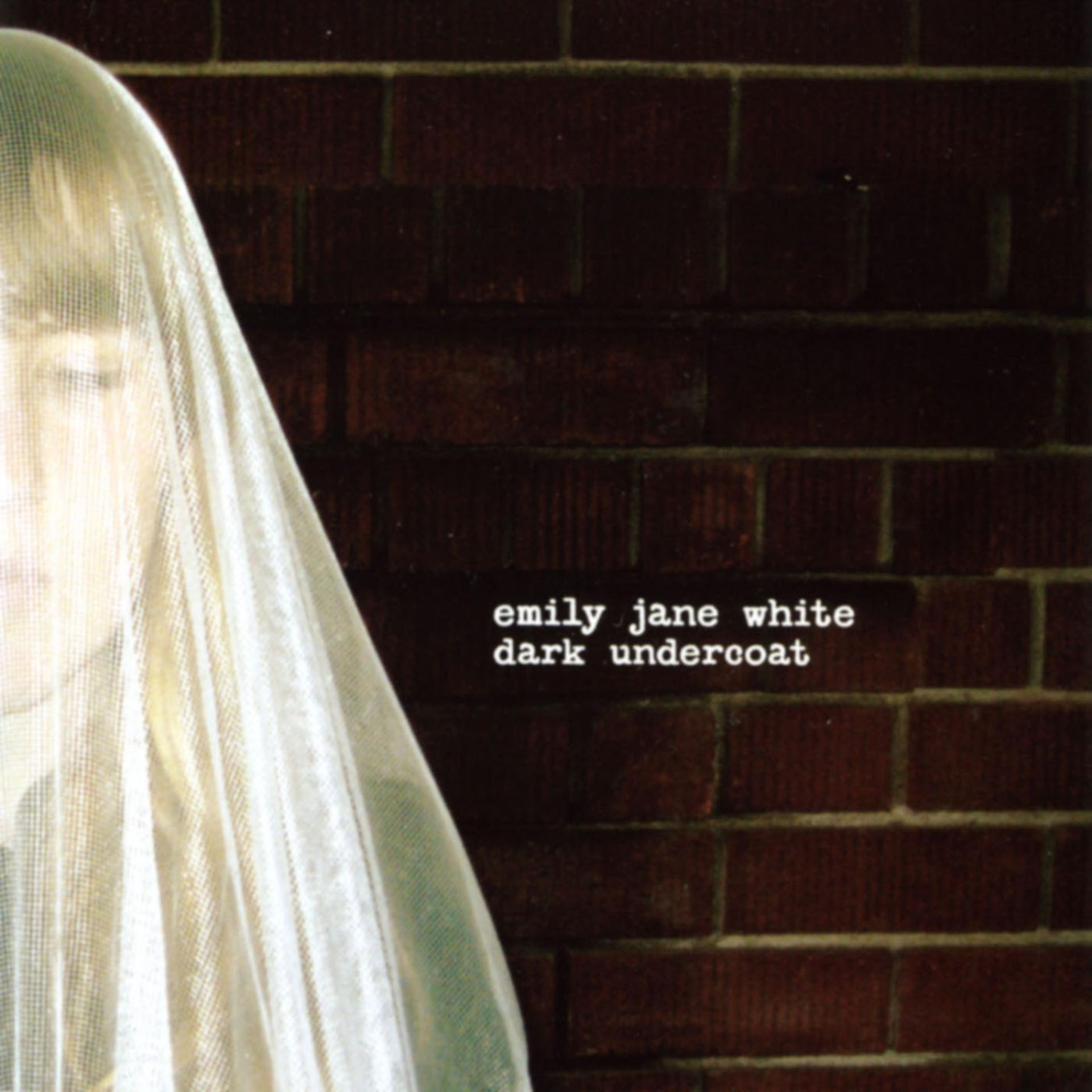 Постер альбома Dark Undercoat (Bonus Track Version)