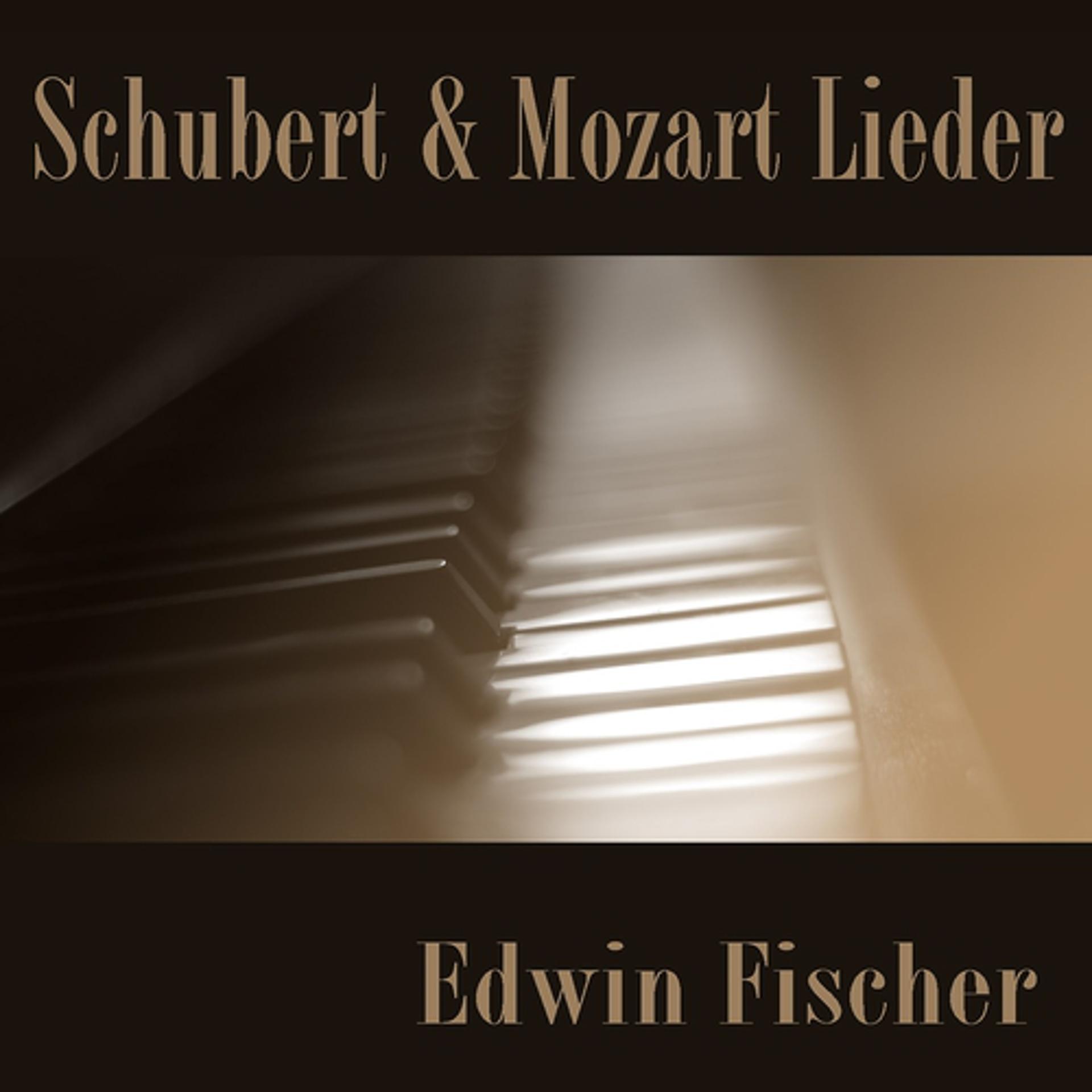 Постер альбома Schubert & Mozart: Lieder