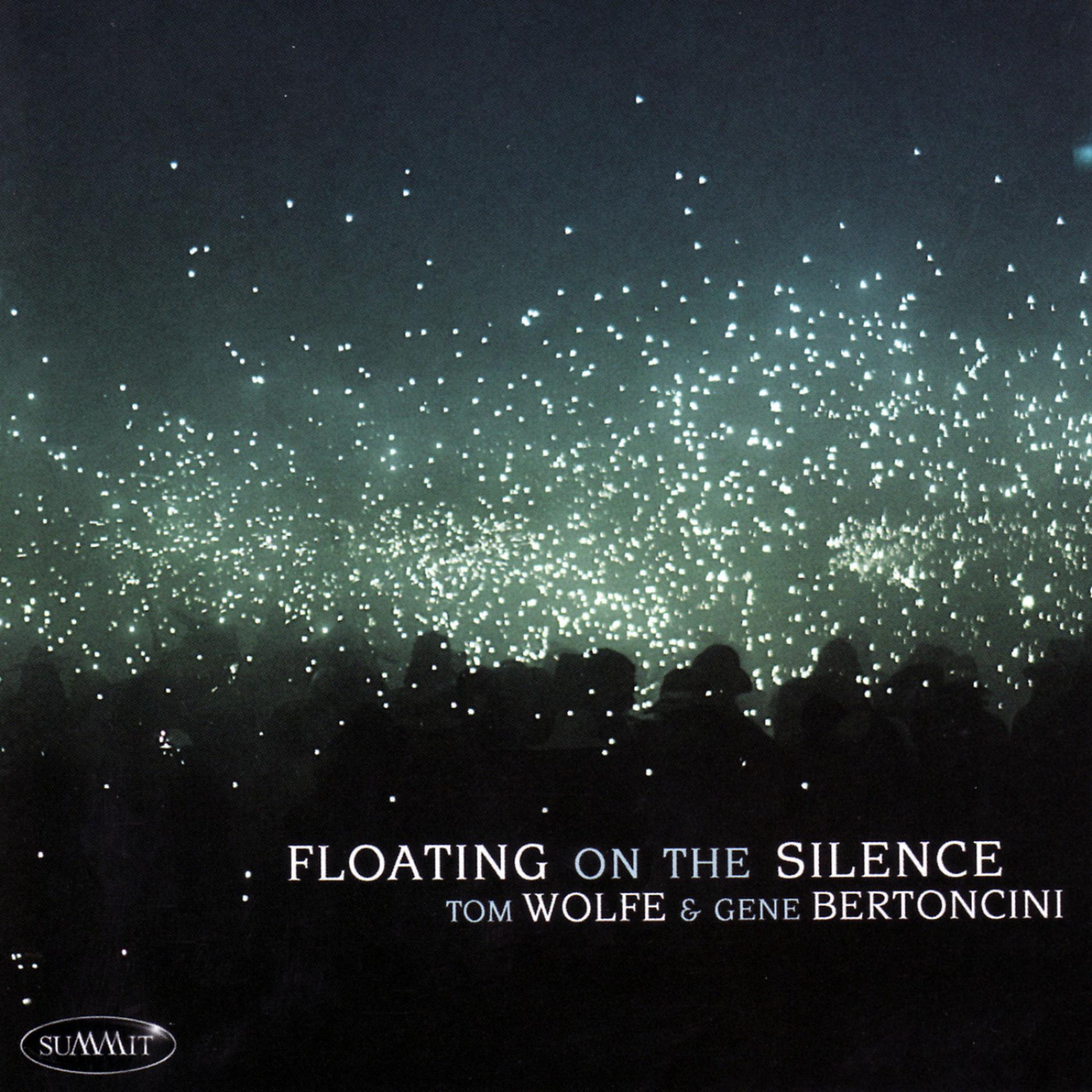 Постер альбома Floating on the Silence