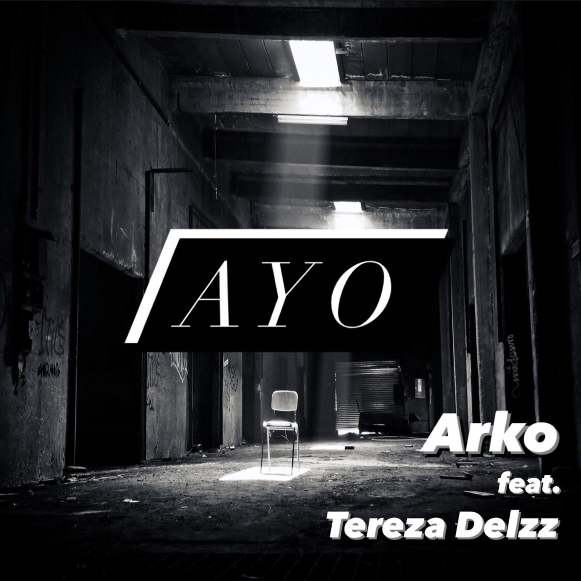Постер альбома Ayo (feat. Tereza Delzz)